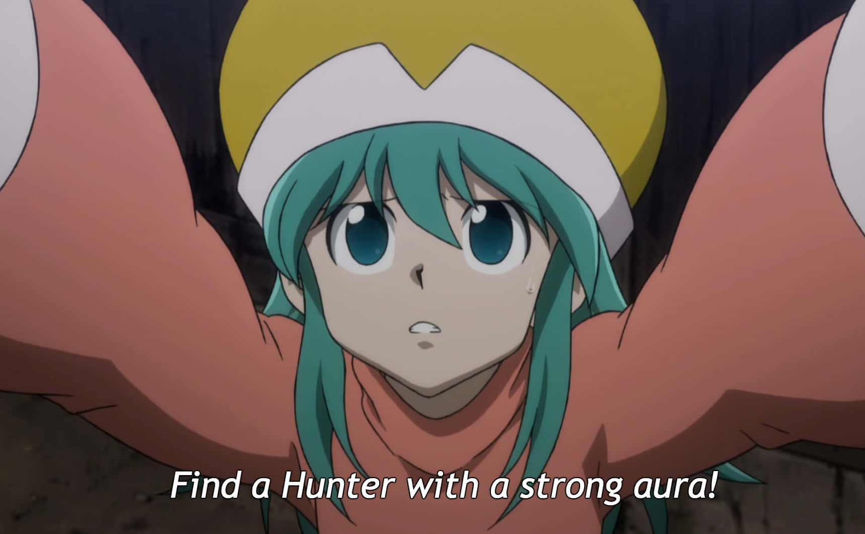Ponzu, Hunter X Hunter, teal hair, HD Desktop Wallpaper