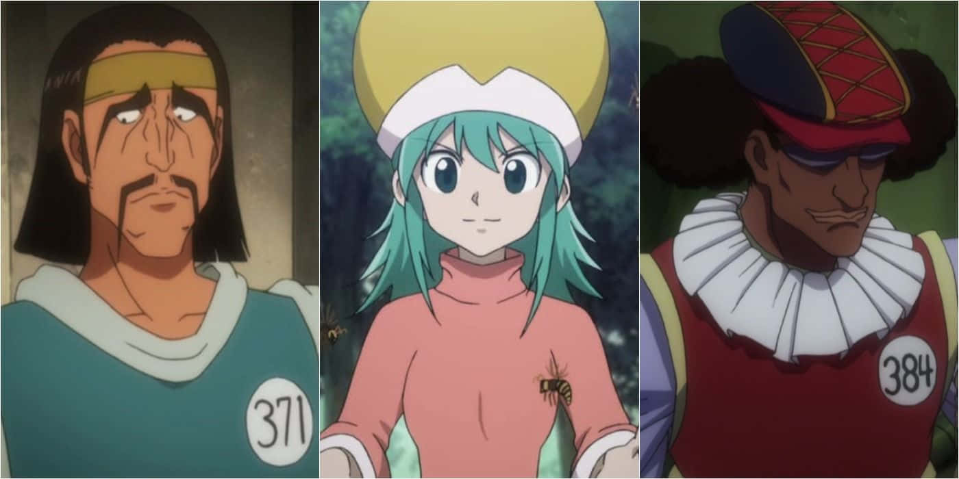 Hunter X Hunter, Ponzu, number 371, HD Desktop Wallpaper