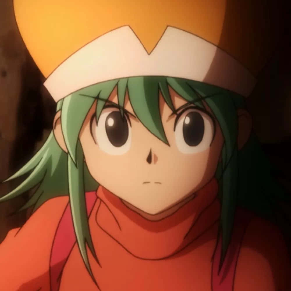 Hunter X Hunter, Ponzu, green hair, SD Desktop Wallpaper