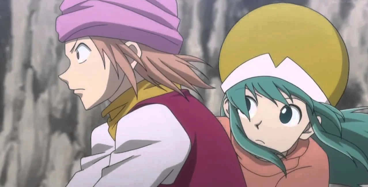 Hunter X Hunter, Ponzu, pink hair, SD Desktop Wallpaper