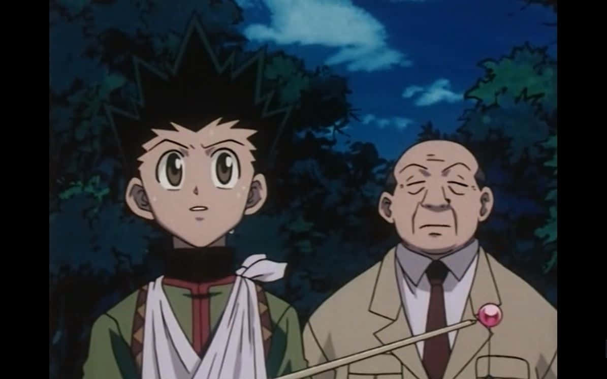 Hunter X Hunter, Zebro, night, SD Desktop Wallpaper