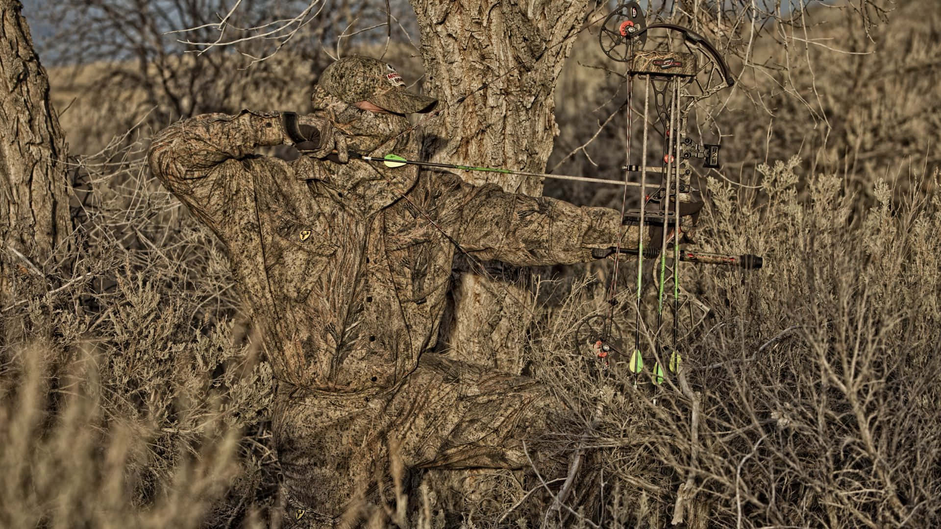 hunting camo, compound bow, tree, Full HD Desktop Wallpaper