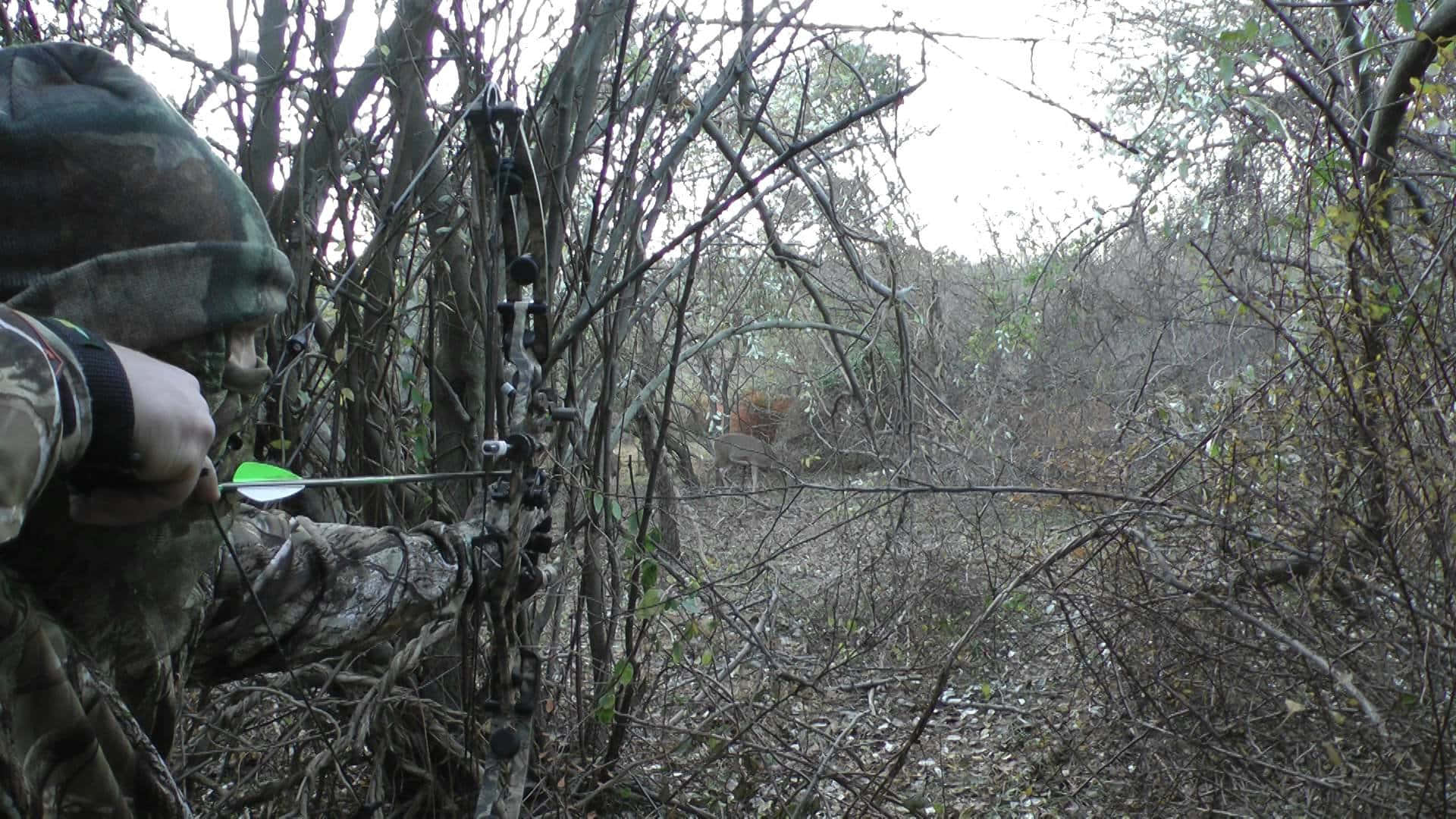 hunting camo, bow, tree, Full HD Desktop Wallpaper
