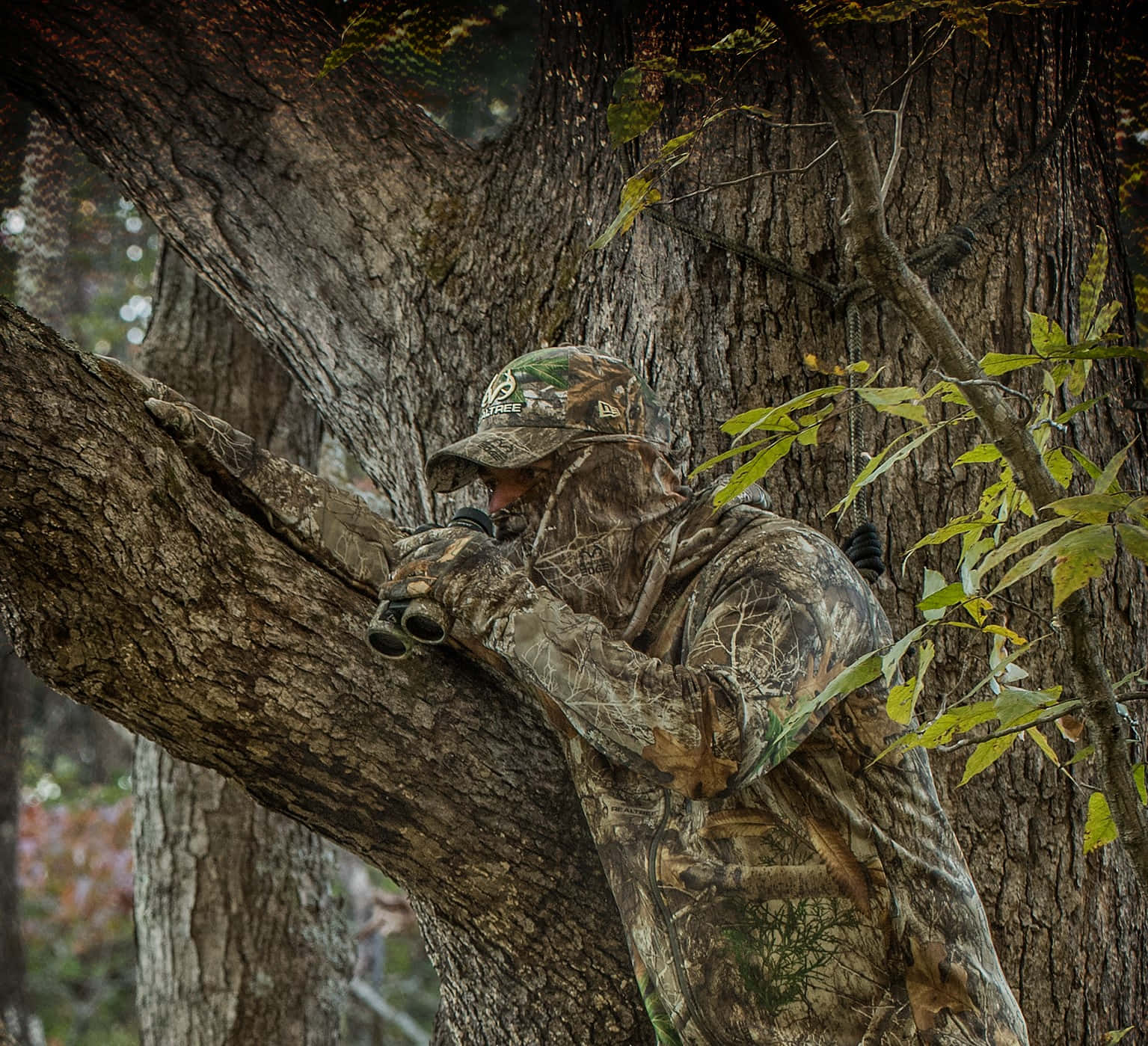 Hunting Camo, camouflage gear, tree, HD Desktop Wallpaper