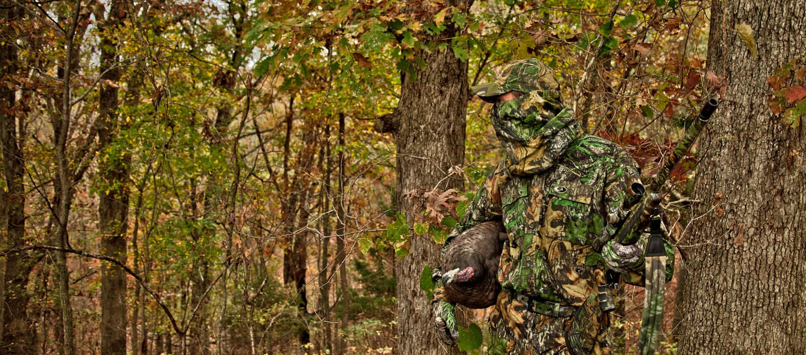 hunting camo, wild turkey, autumn forest, HD Desktop Wallpaper