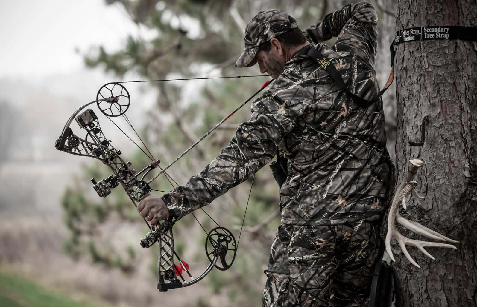 Hunting Camo, compound bow, tree stand, HD Desktop Wallpaper