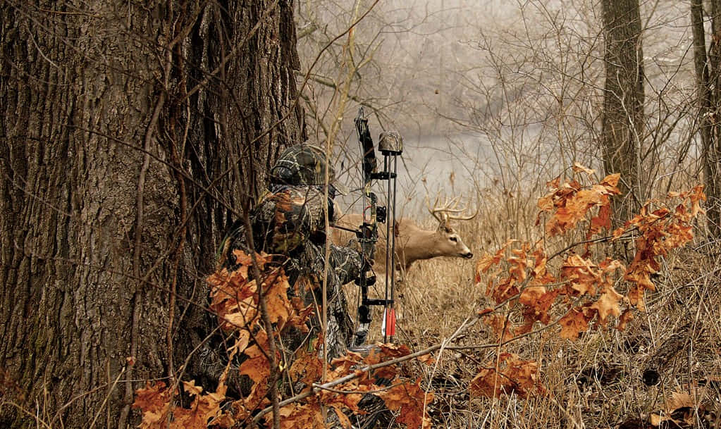 hunting camo, camouflage outfit, bow, SD Desktop Wallpaper
