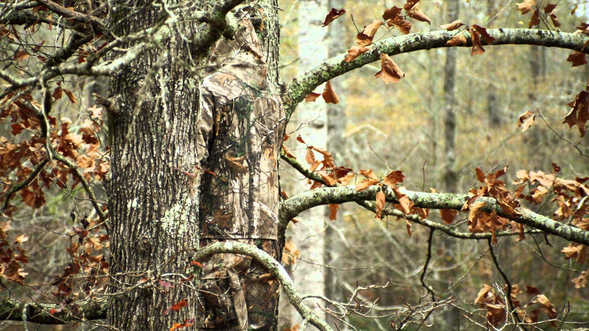 hunting camo, camouflage, forest, Full HD Desktop Wallpaper