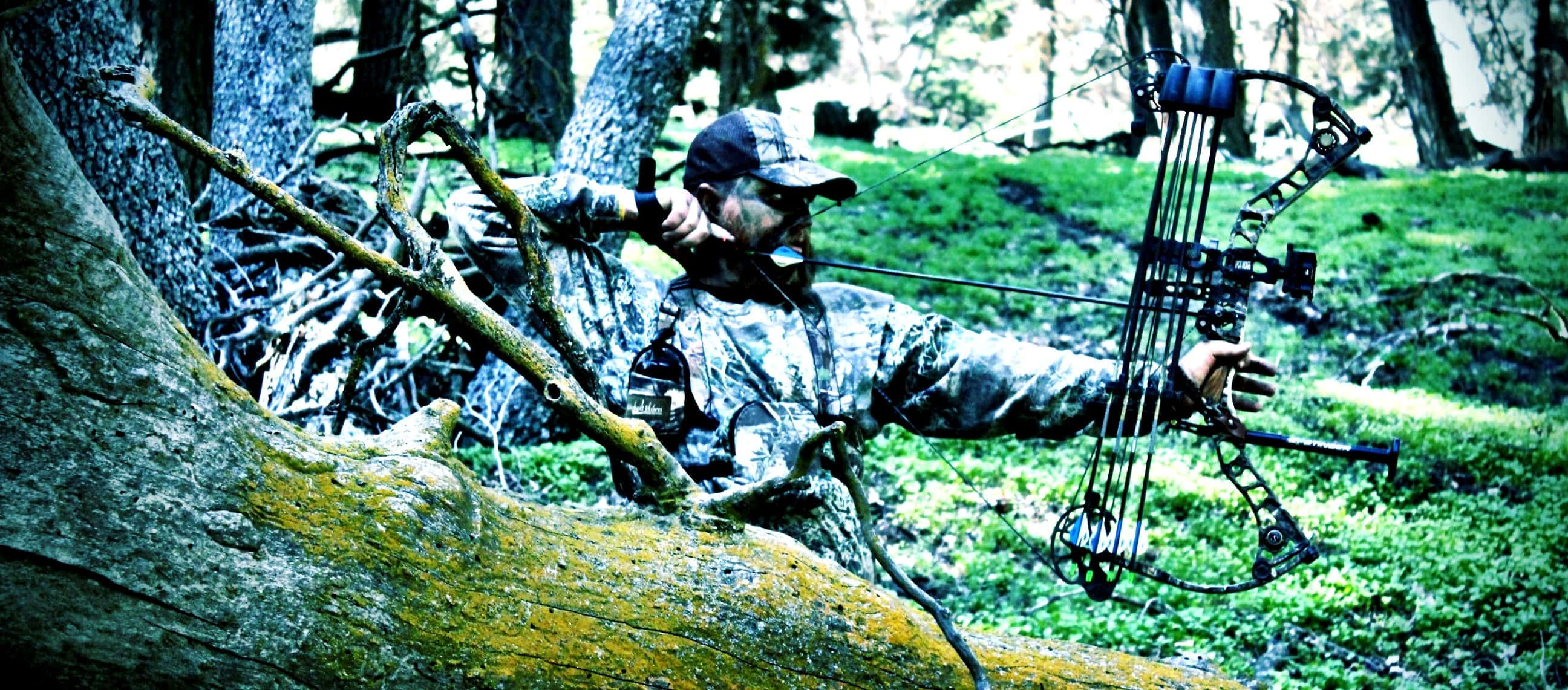 hunting camo, compound bow, mossy tree, 2K Desktop Wallpaper