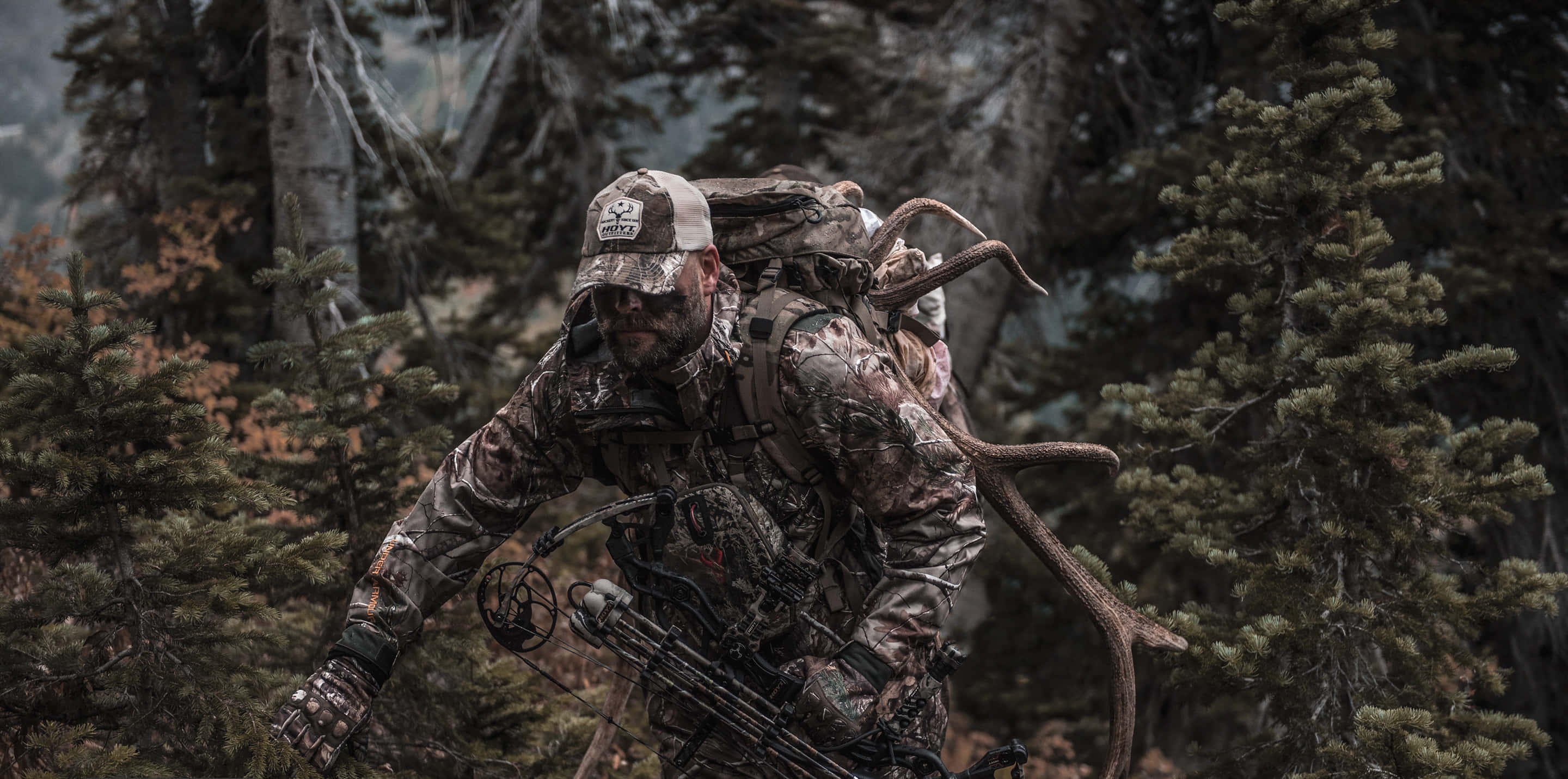 Hunting Camo, bow, antlers, 2K Desktop Wallpaper