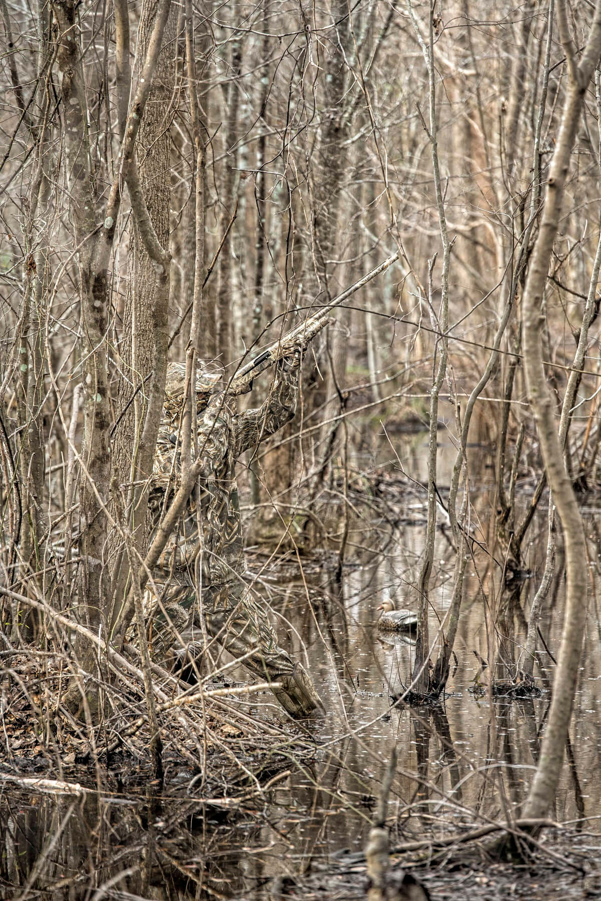 Hunting Camo, winter swamp, bare trees, HD Phone Wallpaper