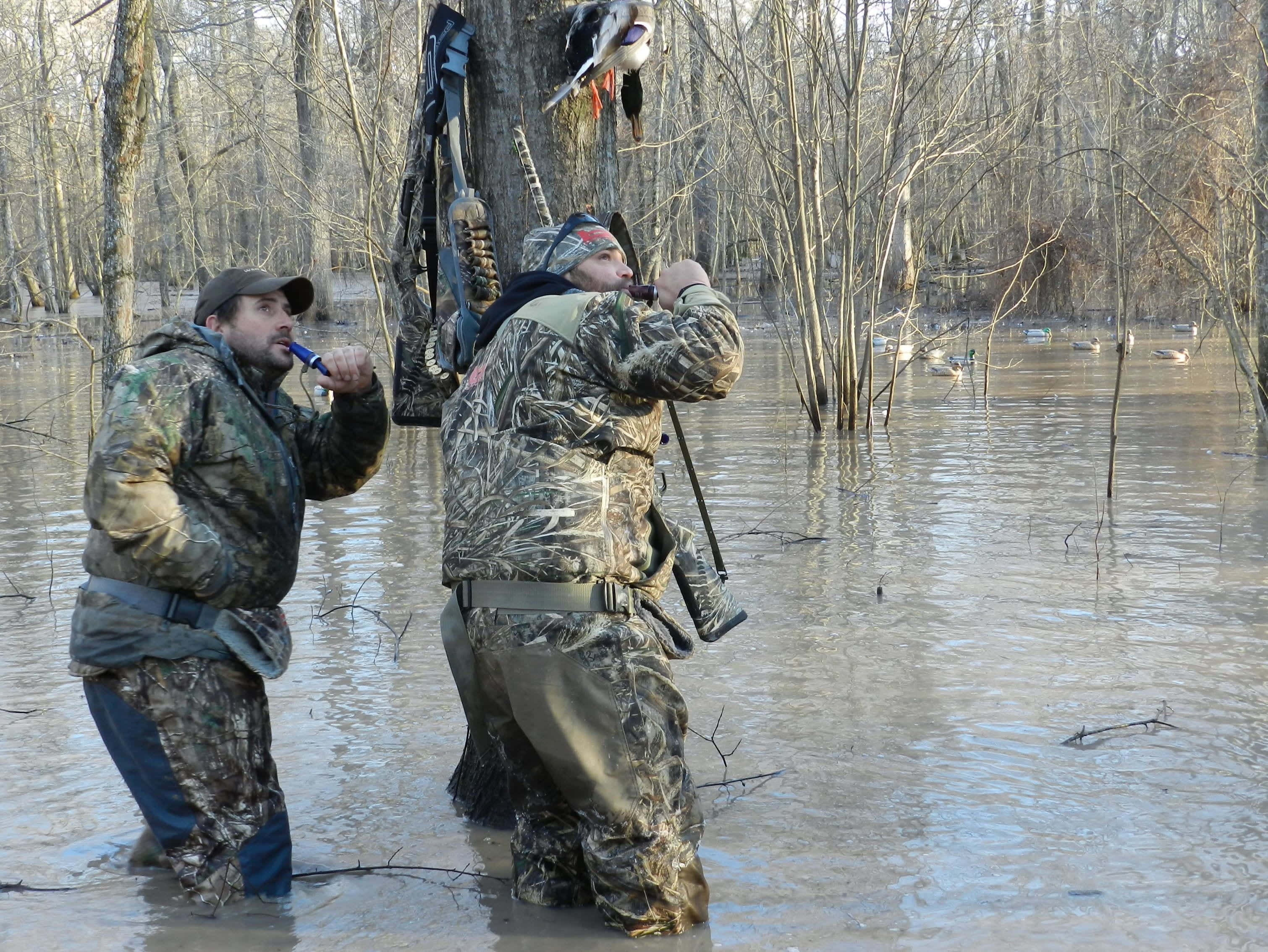 hunting camo, camouflage, flooded woods, 2K Desktop Wallpaper