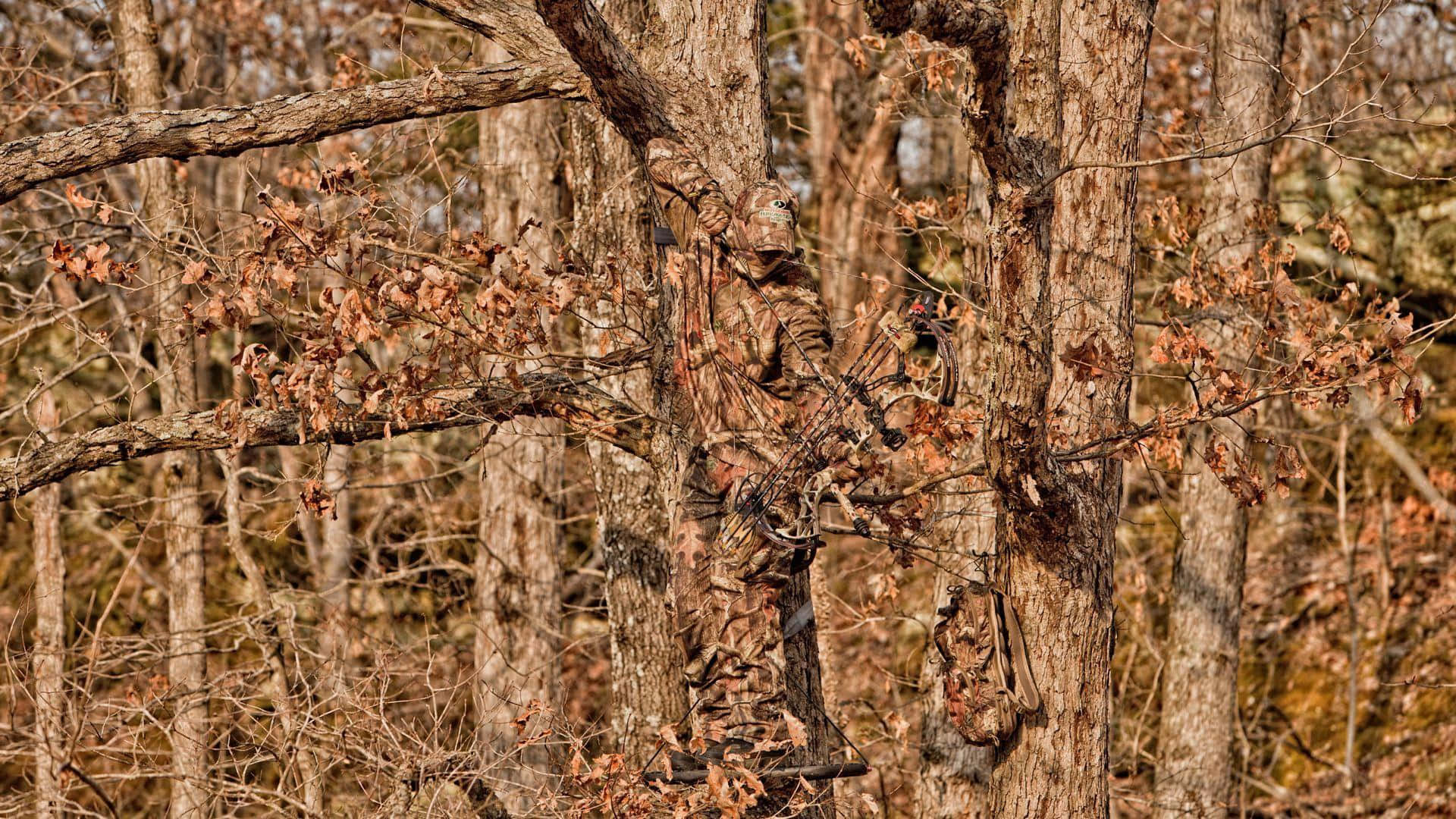hunting camo, autumn forest, tree bark, Full HD Desktop Wallpaper
