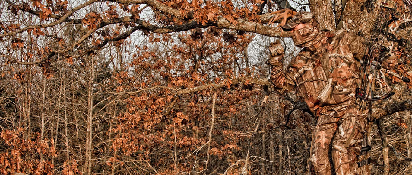 Hunting Camo, autumn trees, brown leaves, HD Desktop Wallpaper