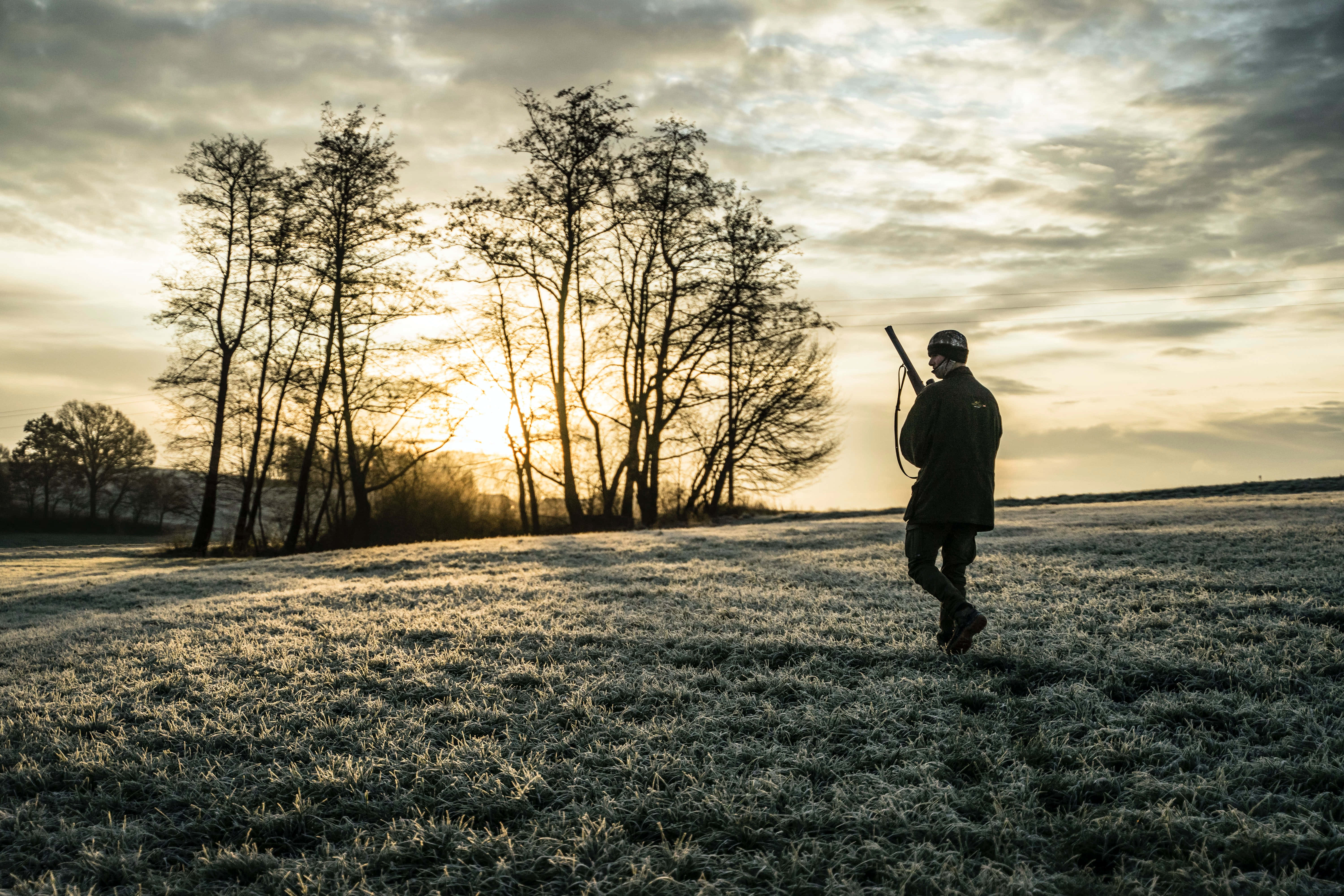 Hunting Desktop, field, frosty field, 5K Desktop Wallpaper