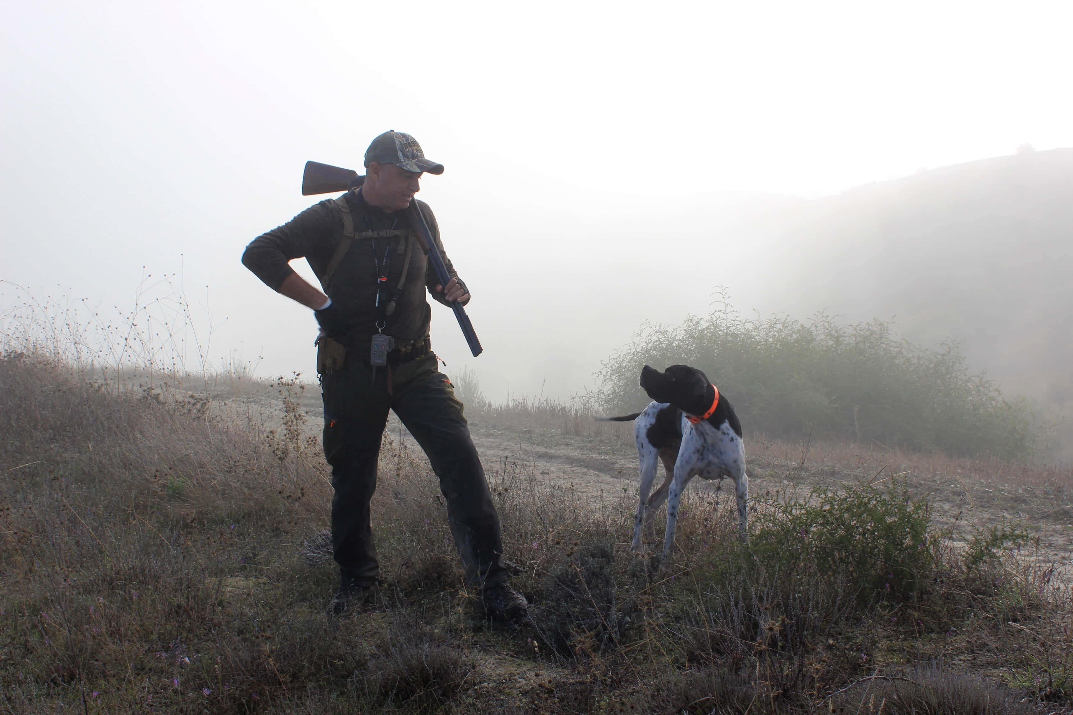 Hunting Desktop, hunter, shotgun, 2K Desktop Wallpaper