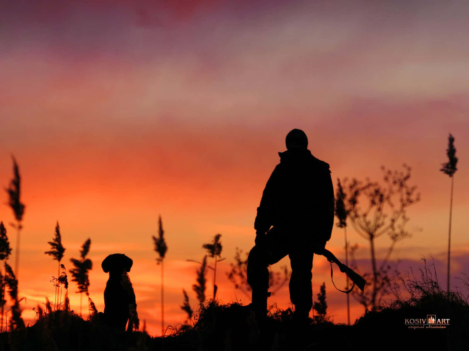 hunter, dog, grassy hill, HD Desktop Wallpaper