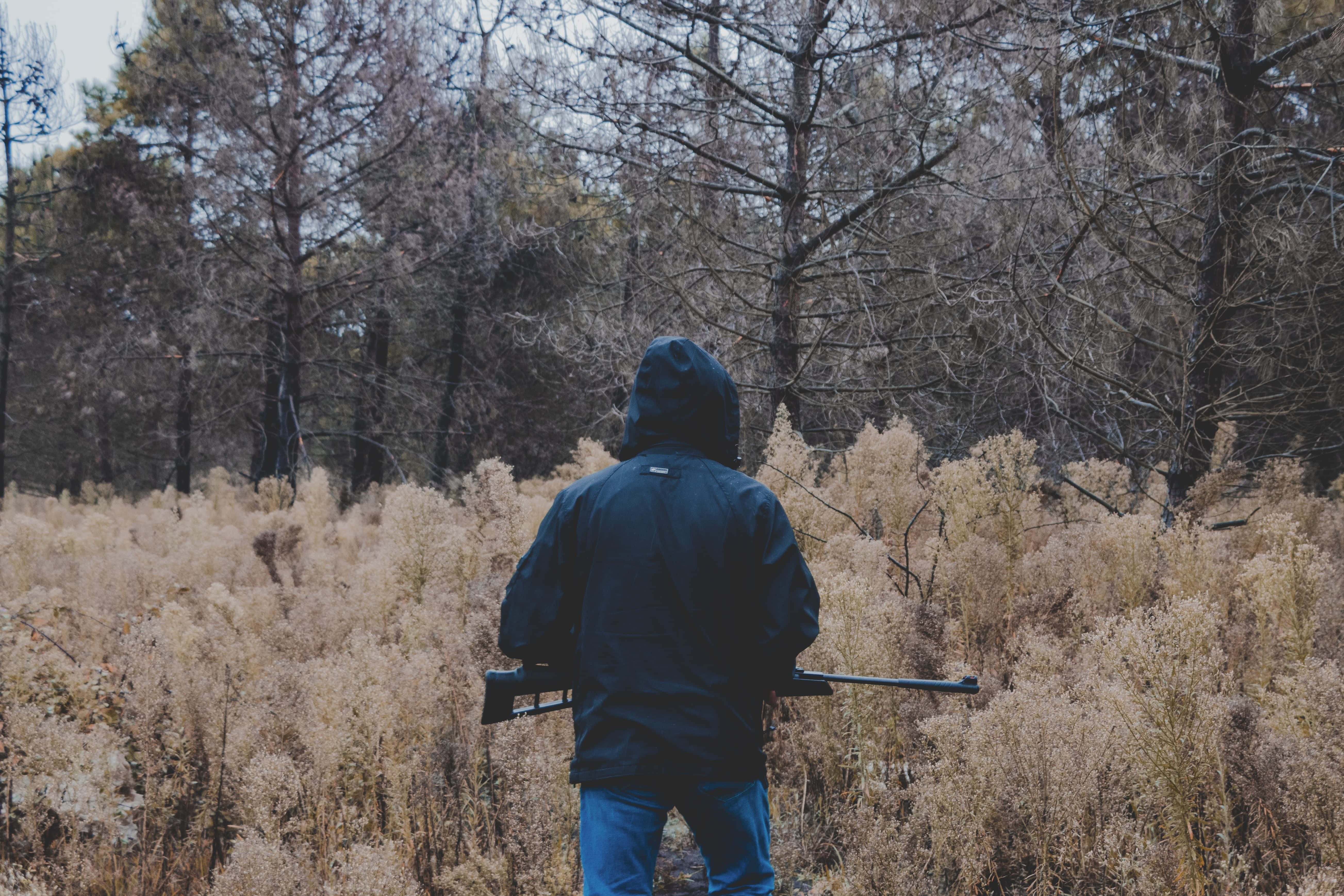 Hunting Desktop, dark hooded jacket, field of dry golden grass, 5K Desktop Wallpaper