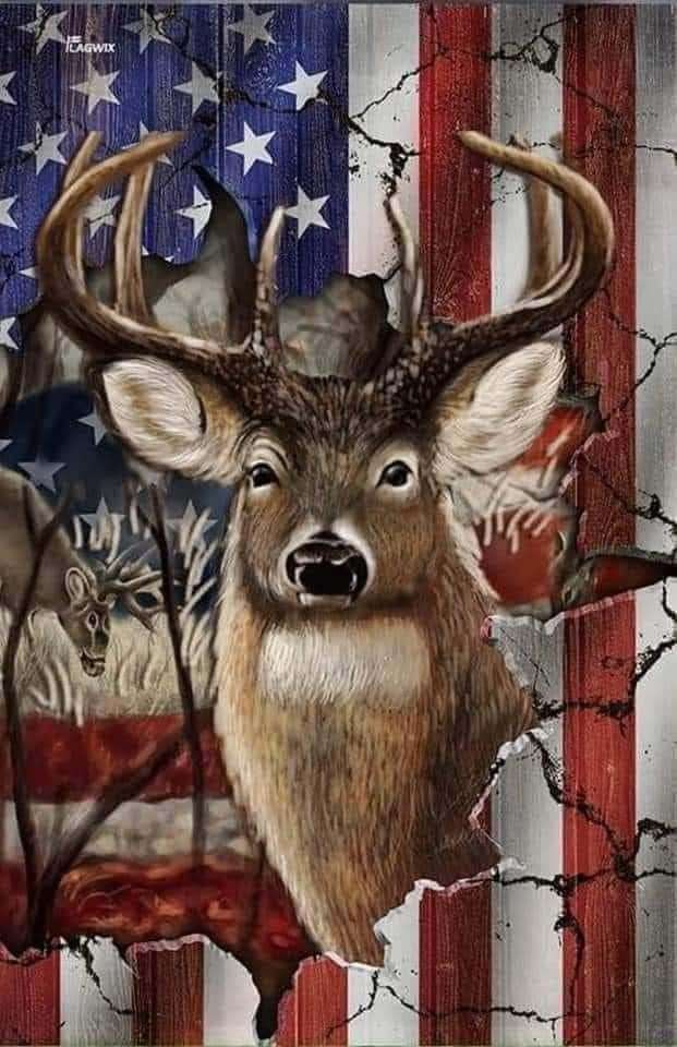 Hunting Phone, deer head, cracked American flag, SD Phone Wallpaper