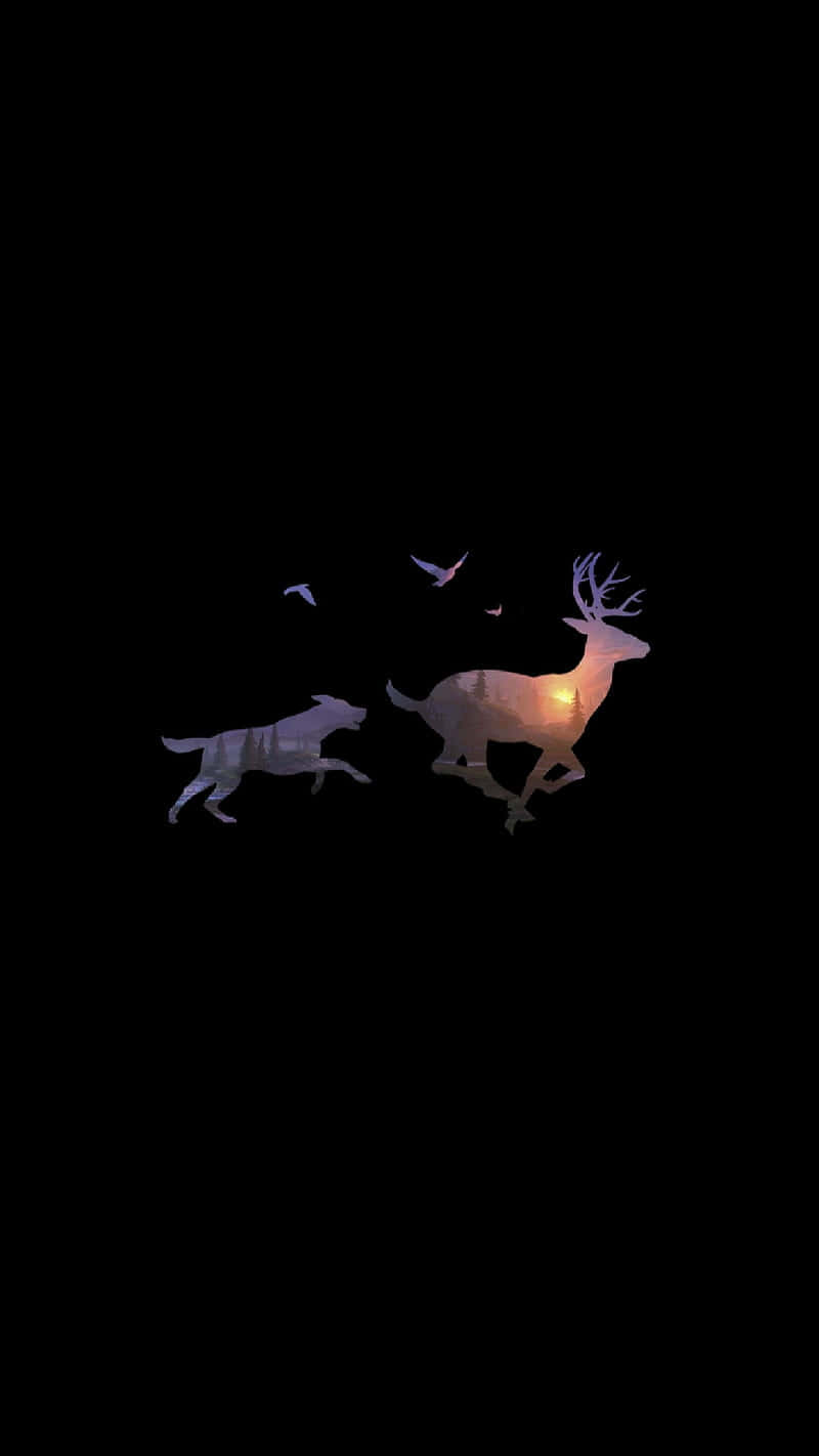 Hunting Phone, glowing deer, glowing dog, HD Phone Wallpaper