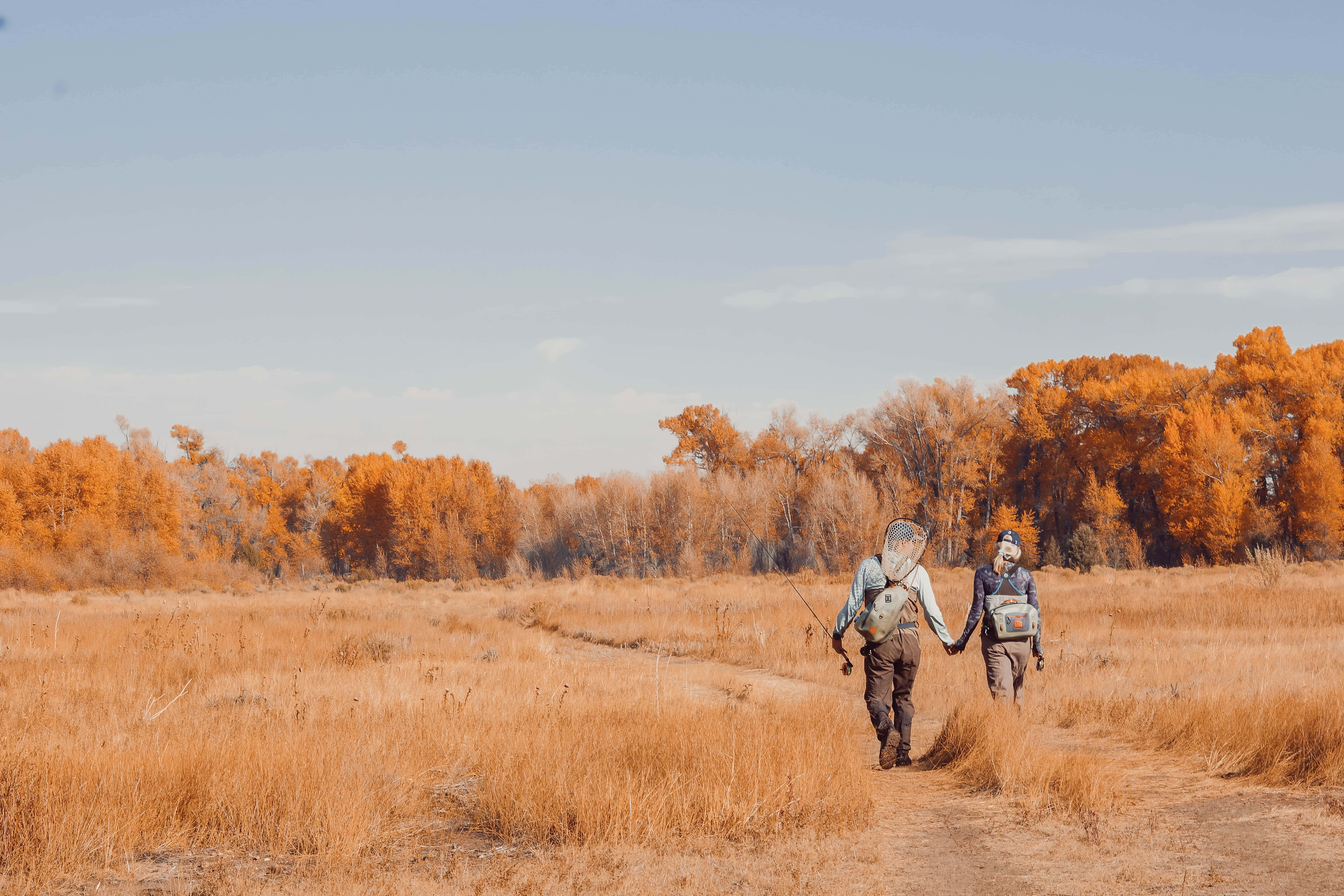 Hunting Desktop, golden autumn field, fiery orange trees, 5K Desktop Wallpaper