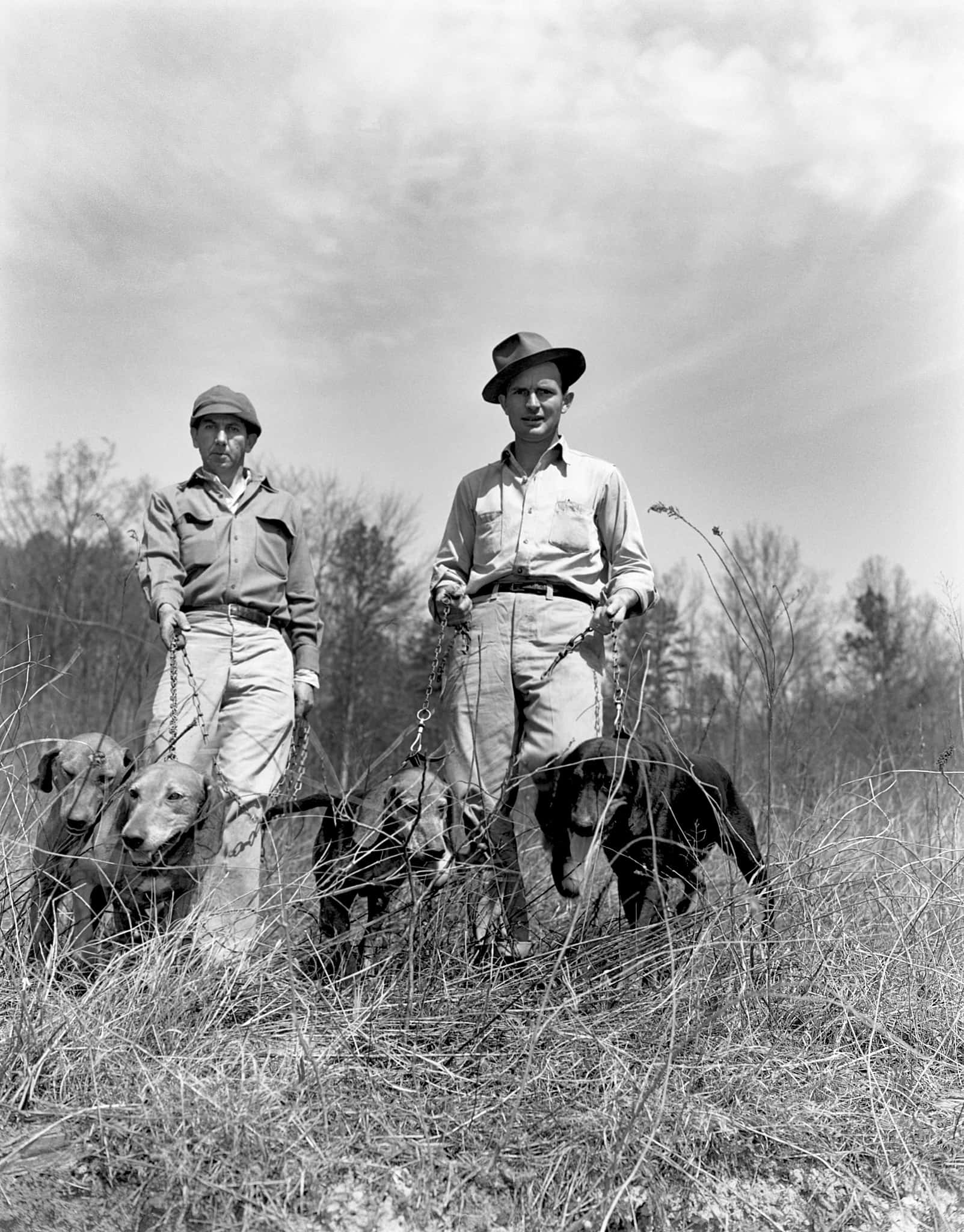young hunters, coon dogs, hats, Full HD Phone Wallpaper