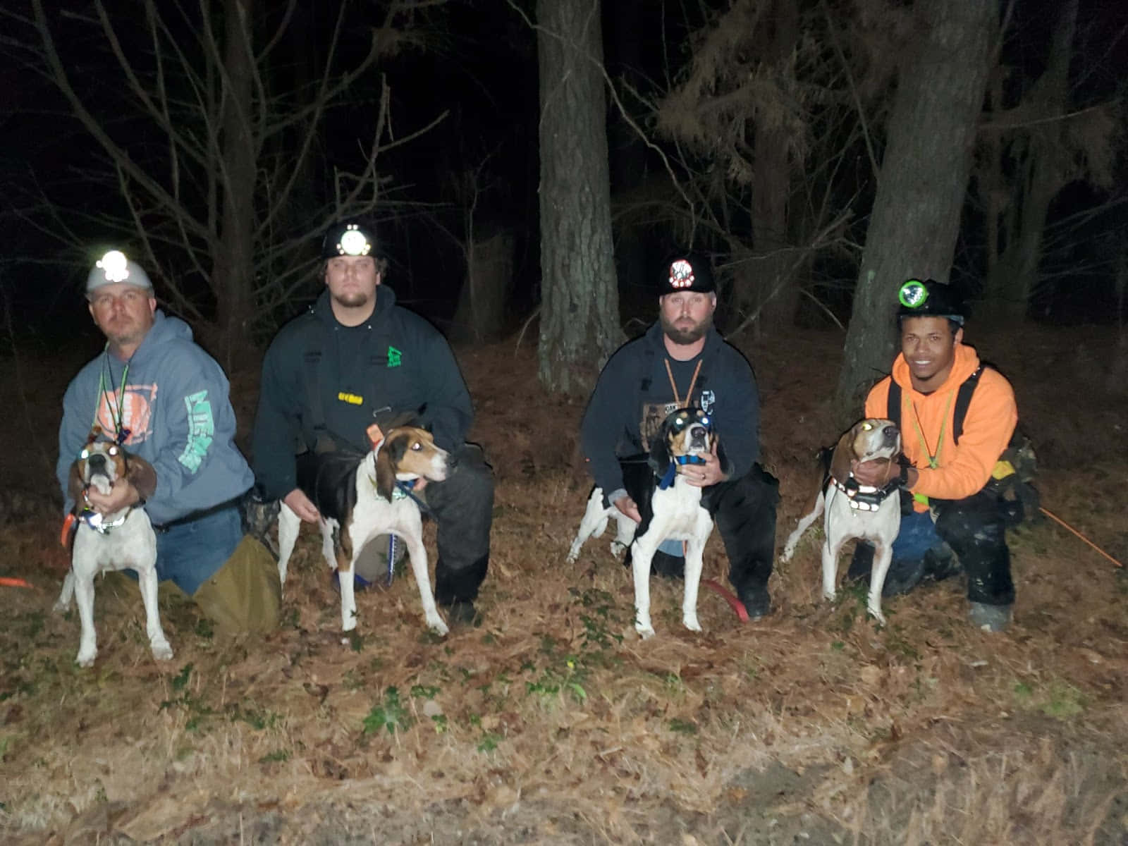coon hunters, beagle dog, headlamps, HD Desktop Wallpaper