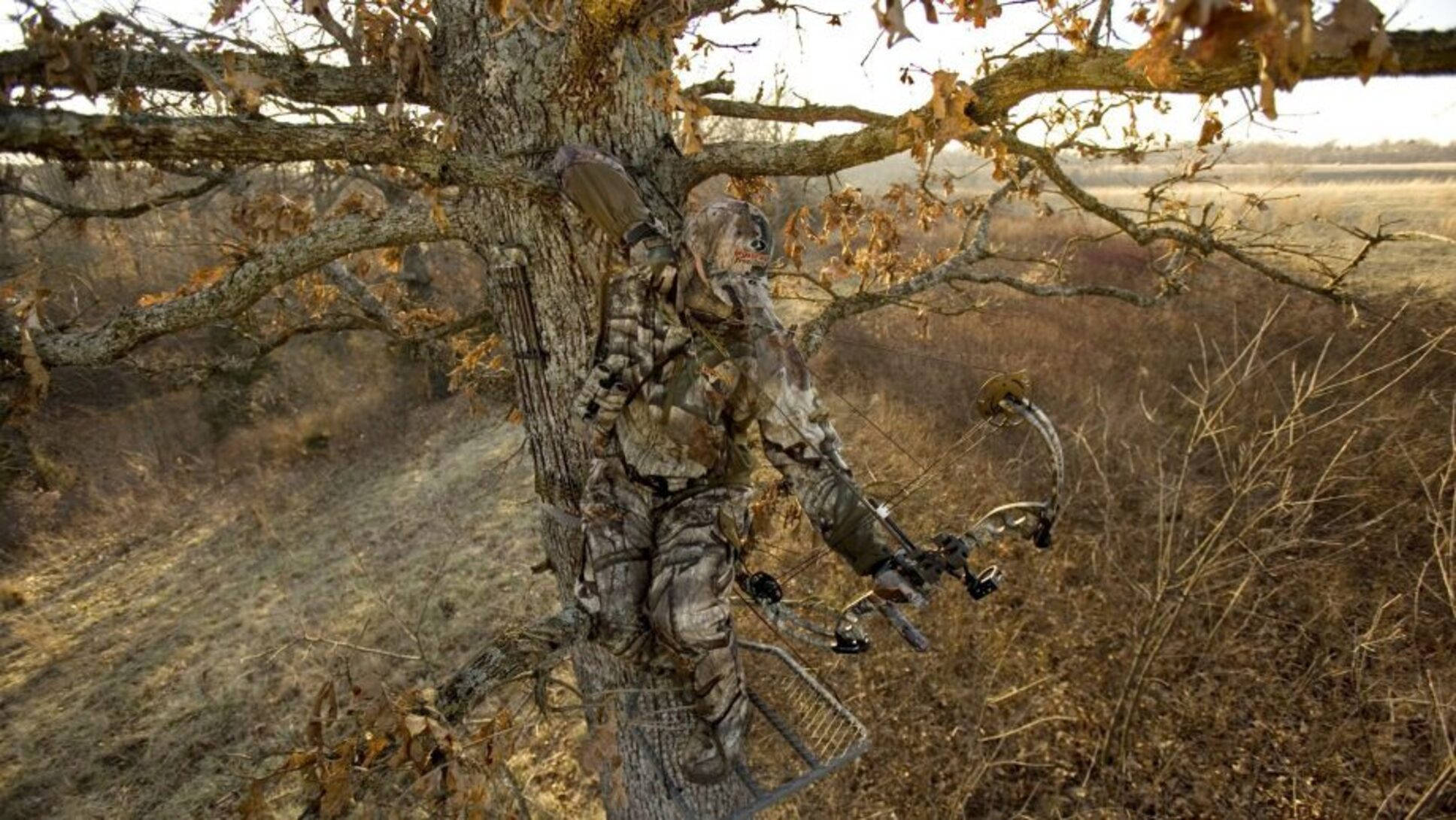 camouflage gear, tree stand, bow, Full HD Desktop Wallpaper