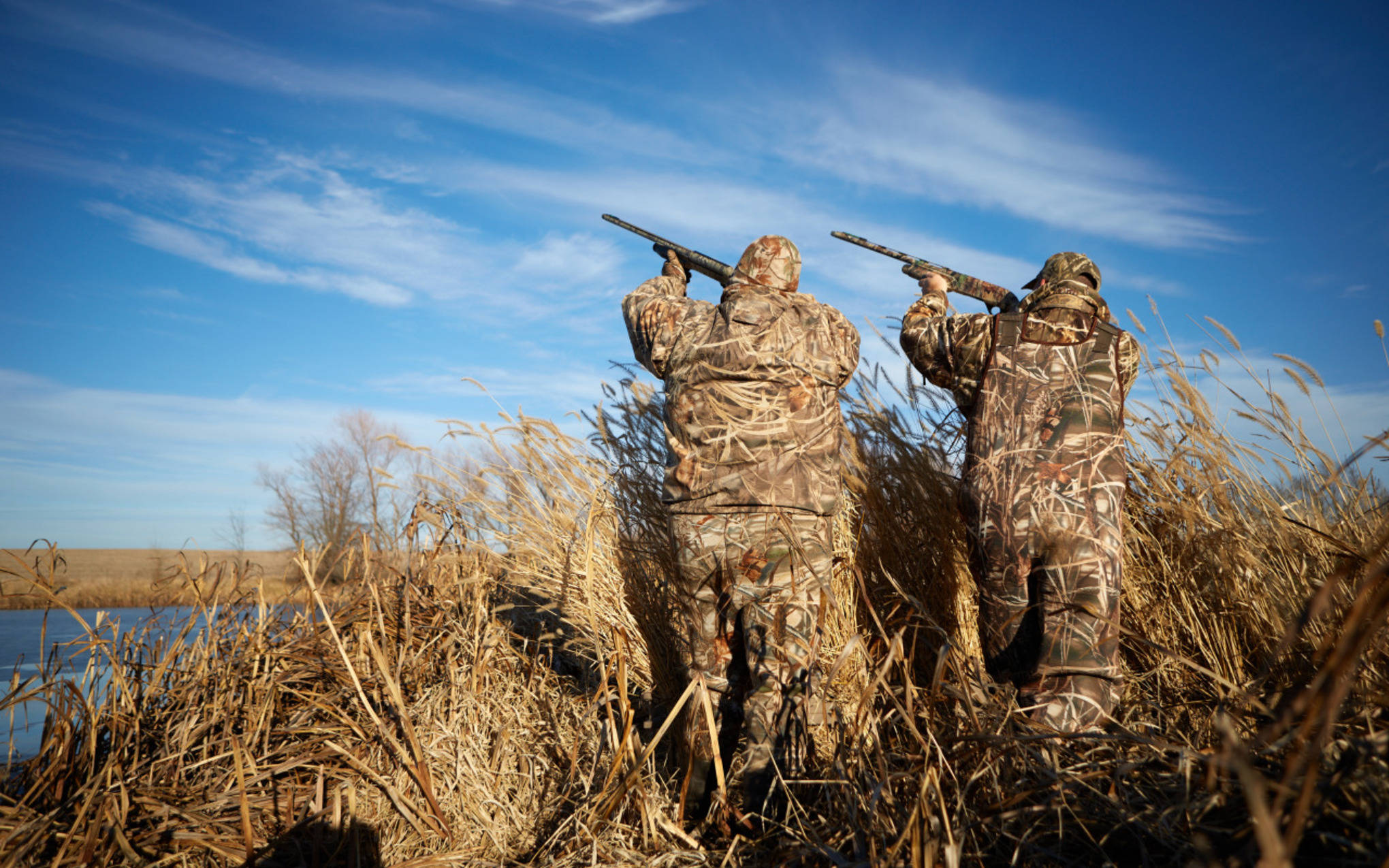 camouflage gear, tall reeds, calm lake, Full HD Desktop Wallpaper