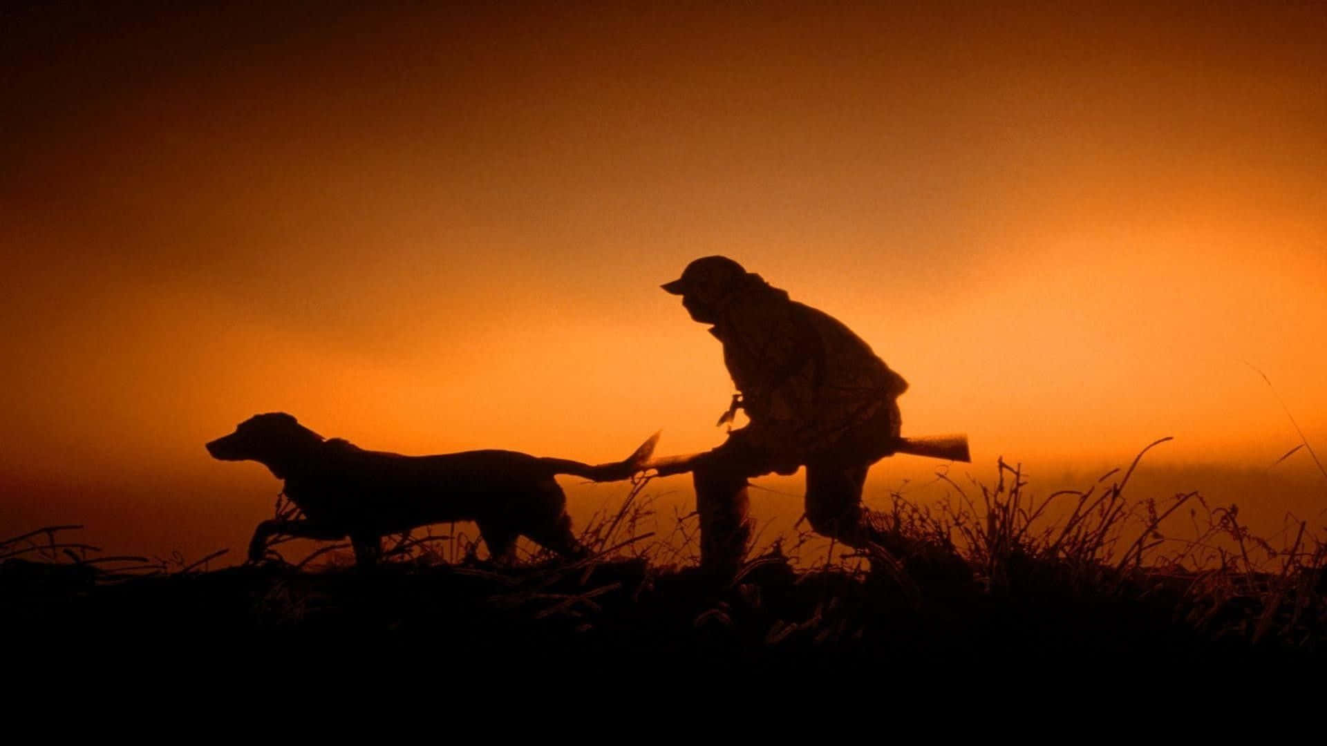 firey orange sunset, grassy field, hunter, Full HD Desktop Wallpaper