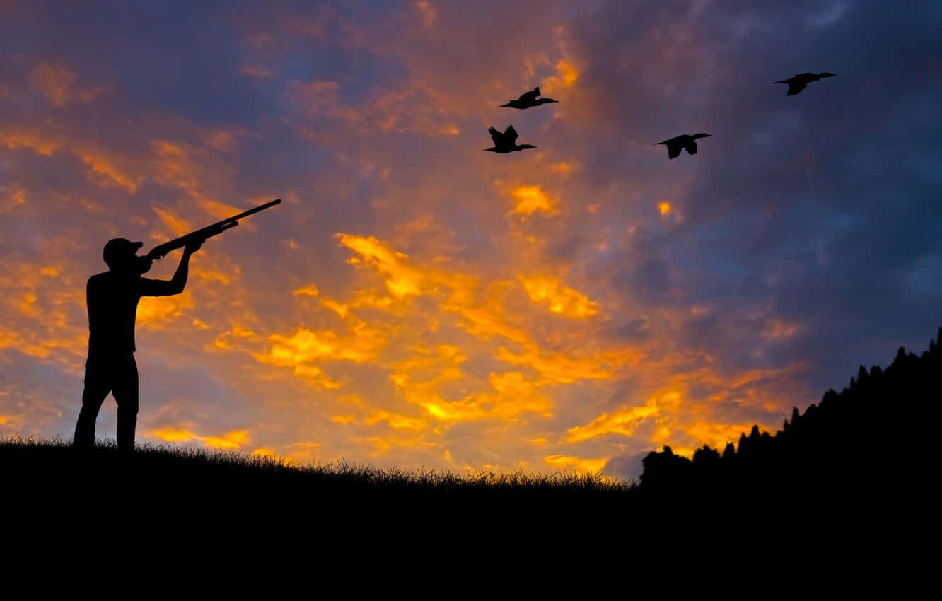 hunter, shotgun, flying ducks, HD Desktop Wallpaper