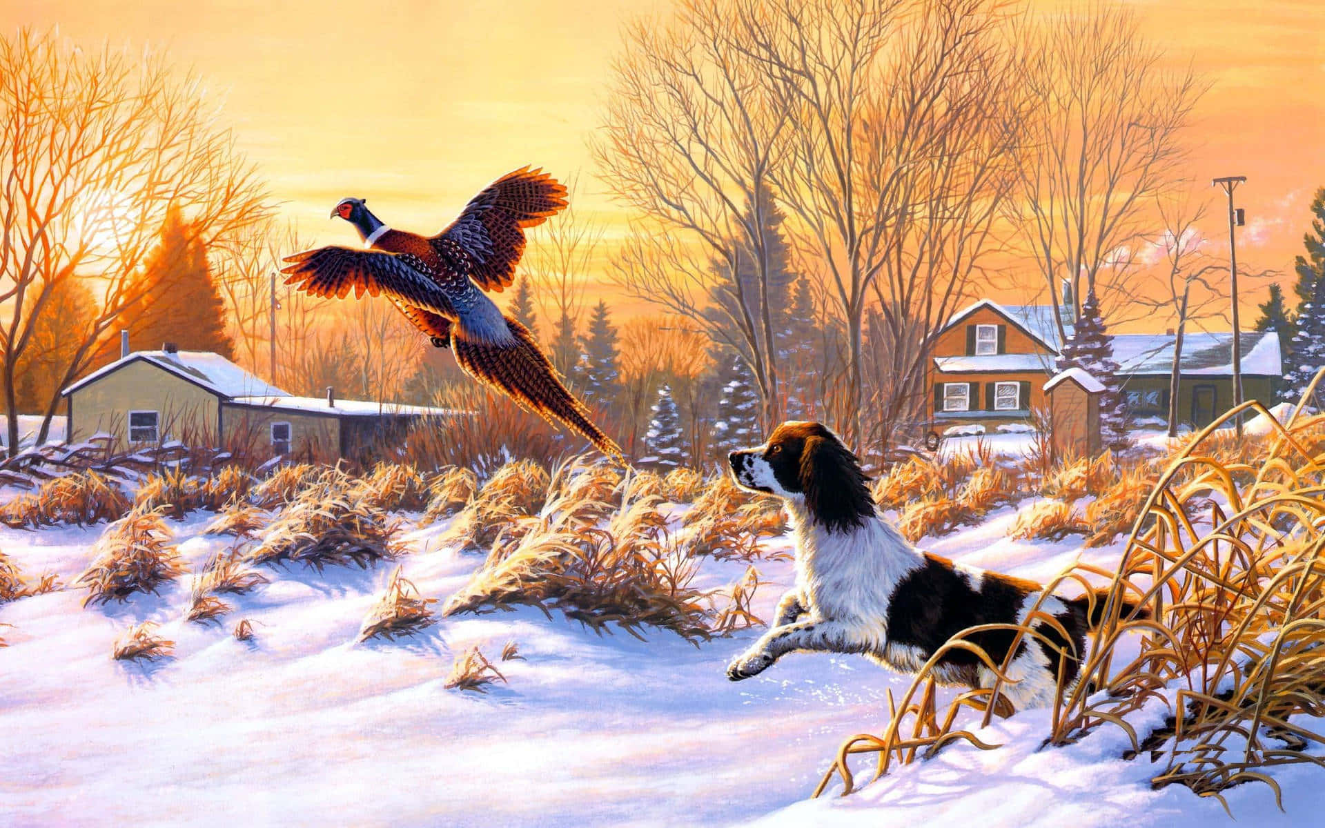 hunter dog, pheasant, snowy winter grass, Full HD Desktop Wallpaper