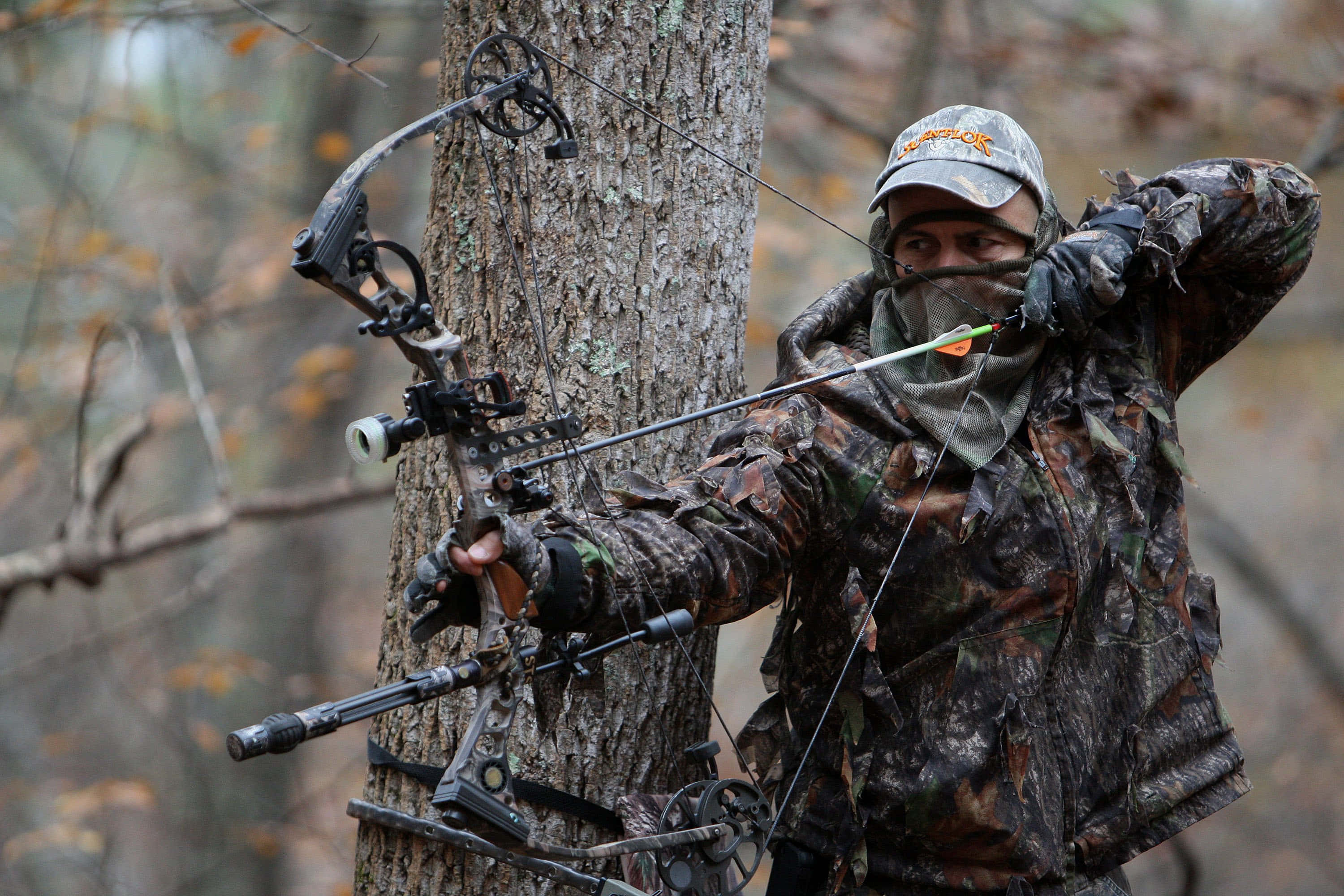 hunting camo, compound bow, forest, 2K Desktop Wallpaper
