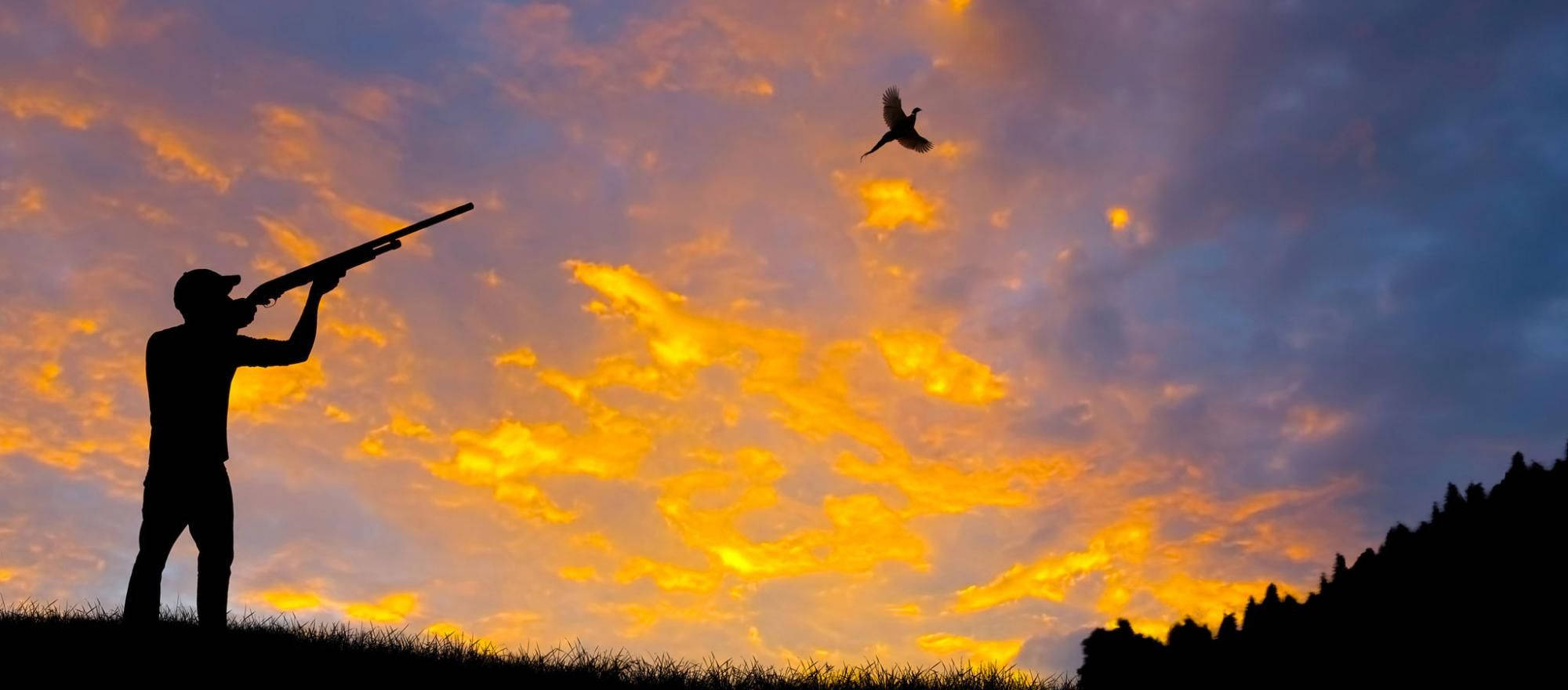 stunning sunset, hunter's silhouette, shotgun, Full HD Desktop Wallpaper