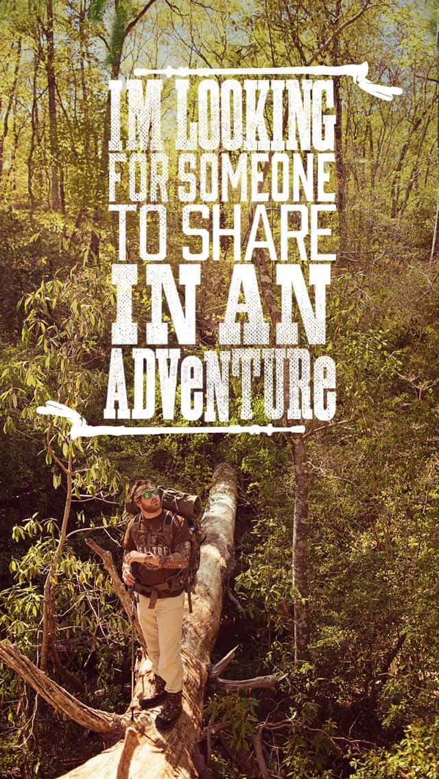 Hunting, sunlit forest, fallen log, SD Phone Wallpaper