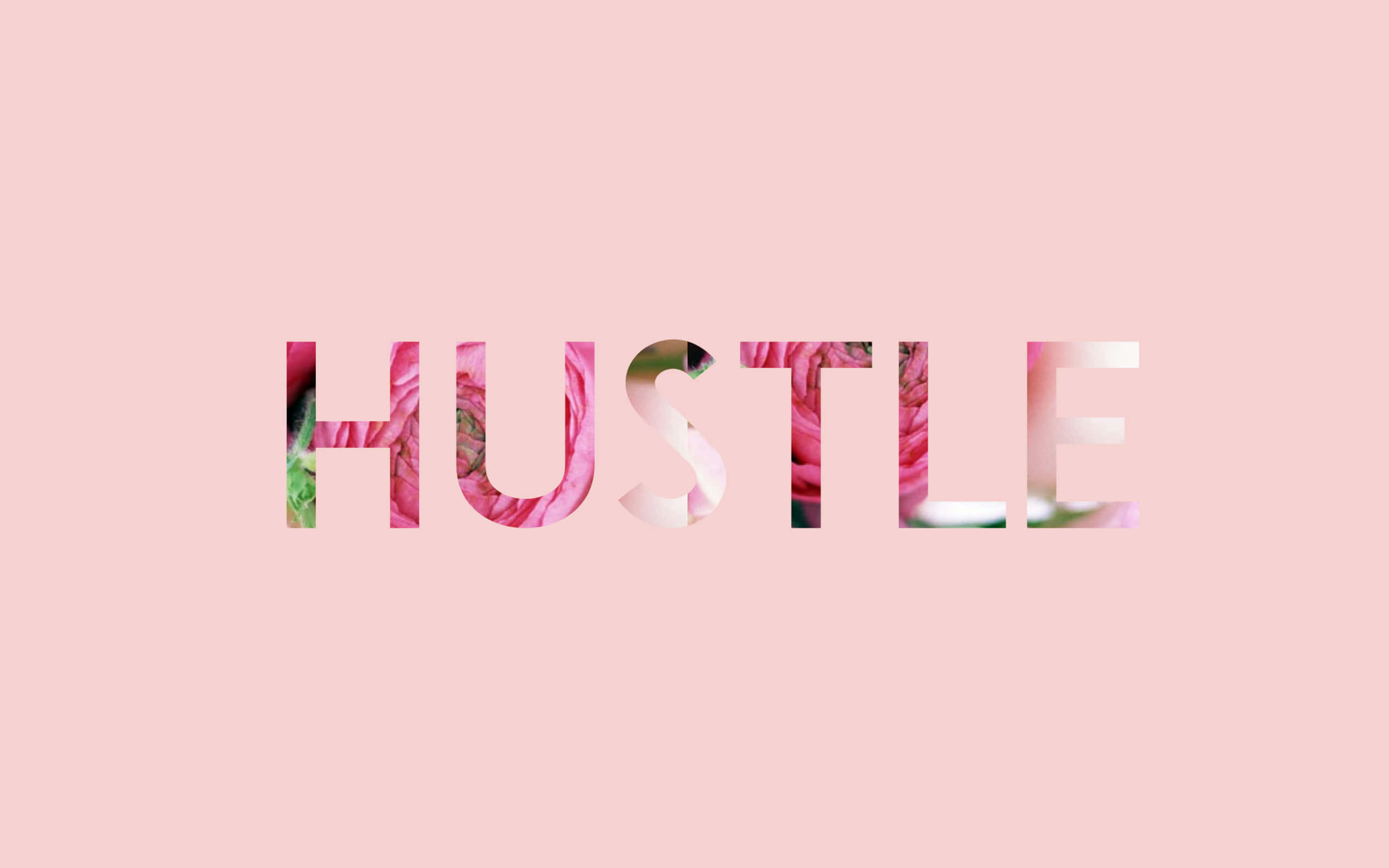 hustler, pink floral patterns, soft pink background, 2K Desktop Wallpaper