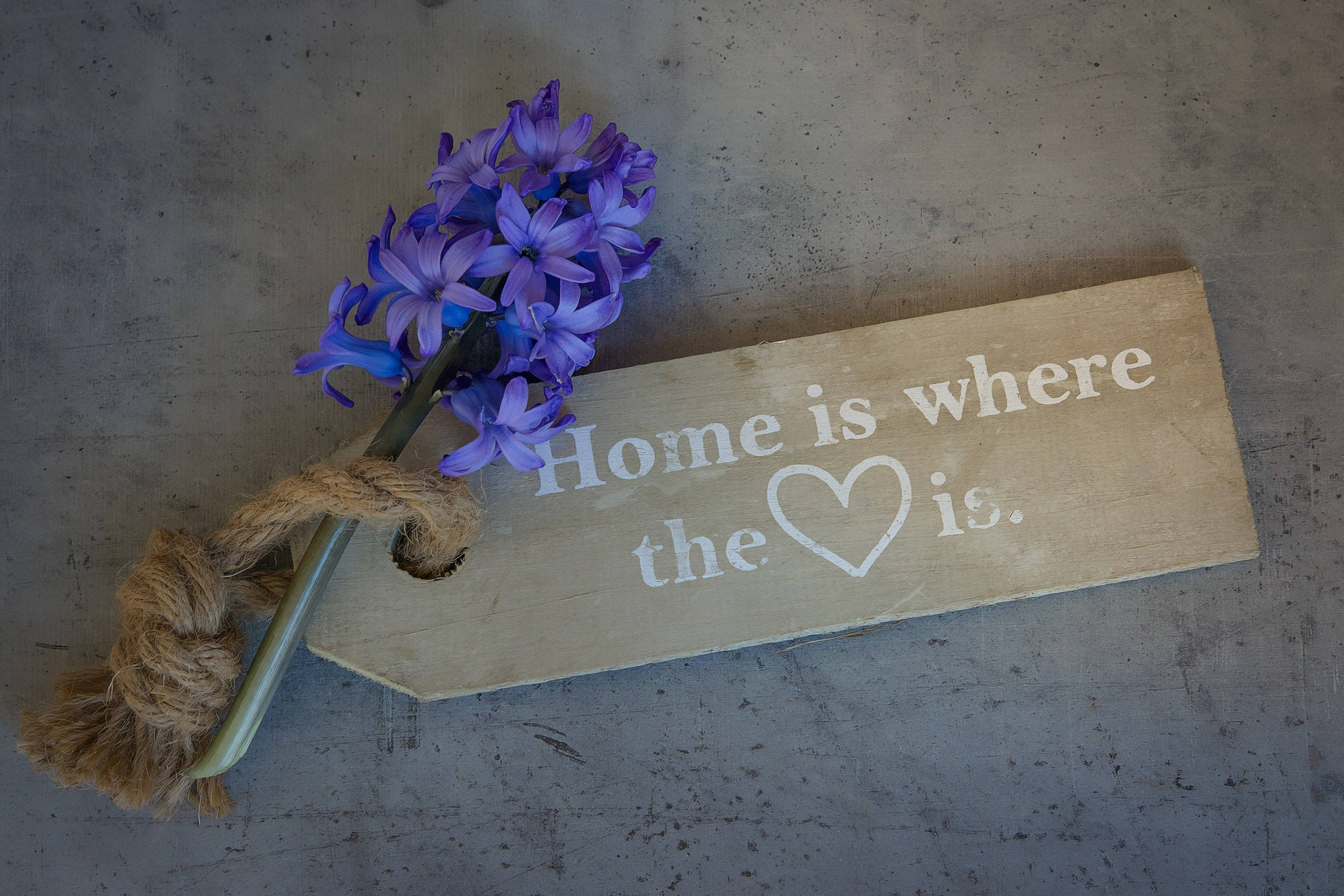 Hyacinth, Home is where the ❤ is, purple hyacinths, Full HD Desktop Wallpaper
