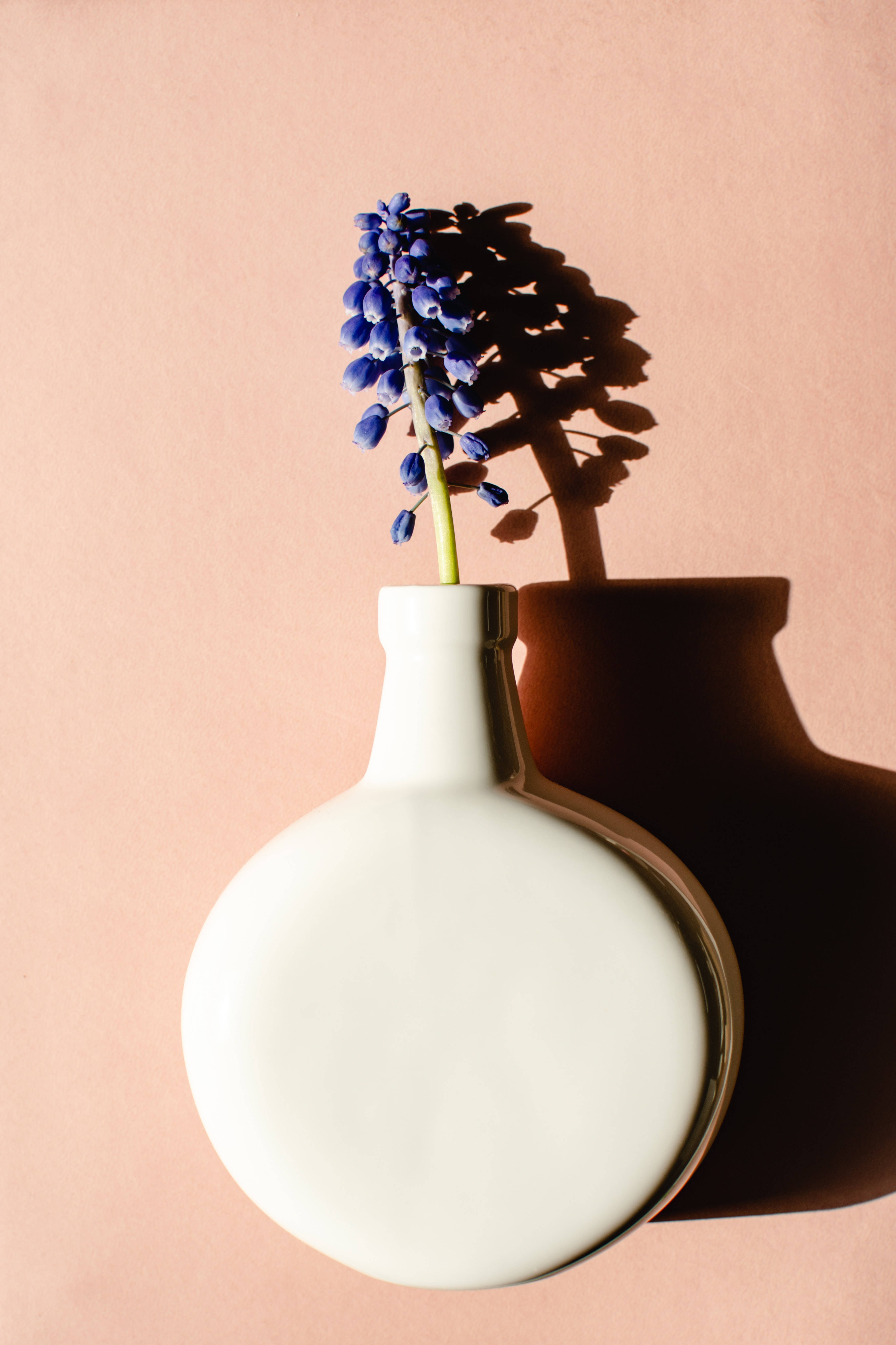 hyacinth, white ceramic vase, soft pink wall, 5K Phone Wallpaper