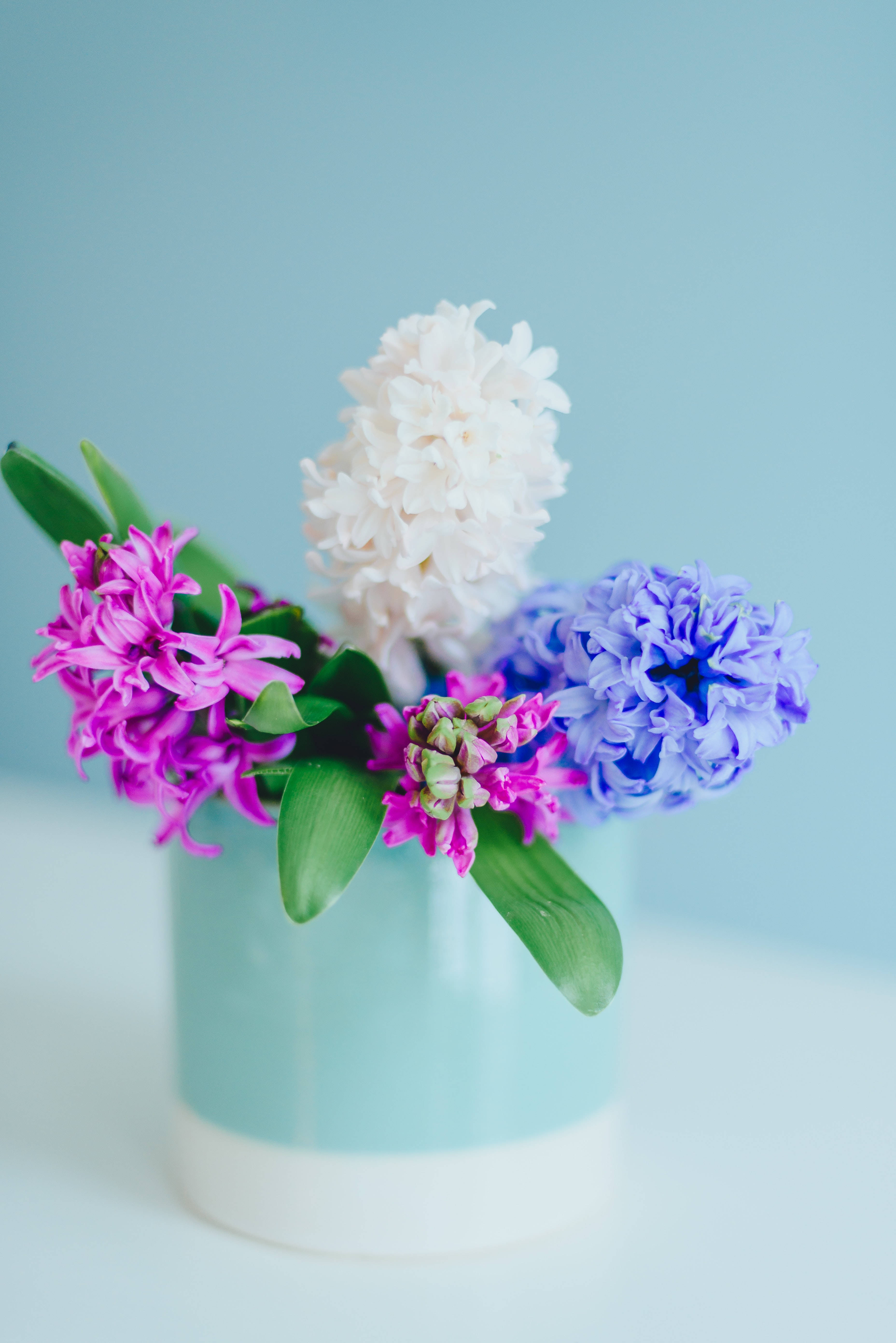 hyacinth, blue can, pastel vase, 5K Phone Wallpaper
