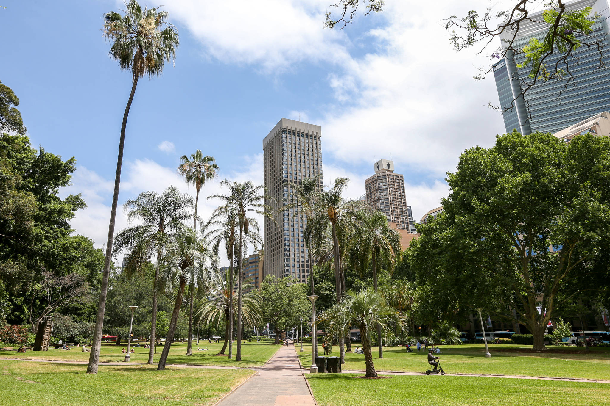 Sydney Hyde Park, palm trees, green lawns, Full HD Desktop Wallpaper