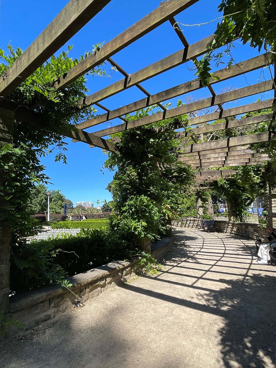 Hyde Park Sydney, pergola pathway, wooden pergola, HD Phone Wallpaper
