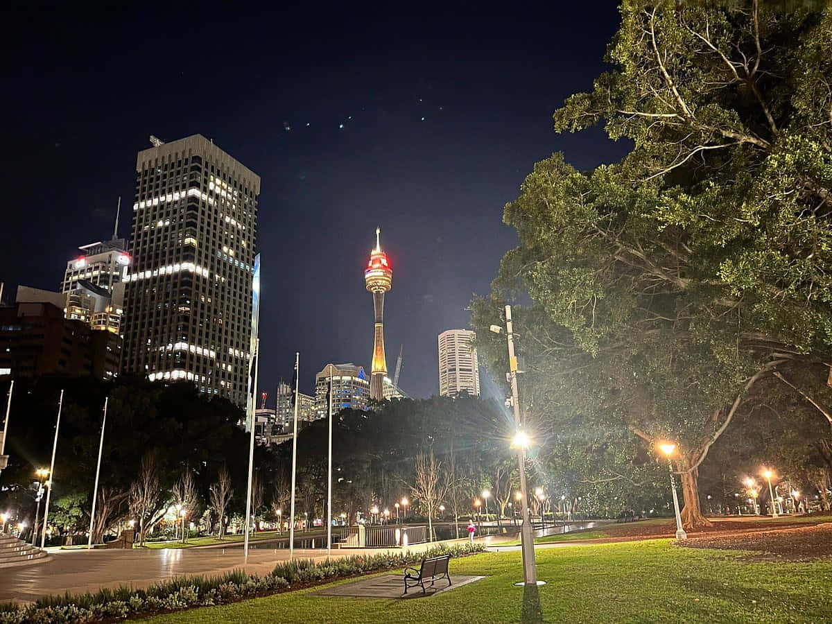 Sydney Skyline, night view, Hyde Park, SD Desktop Wallpaper