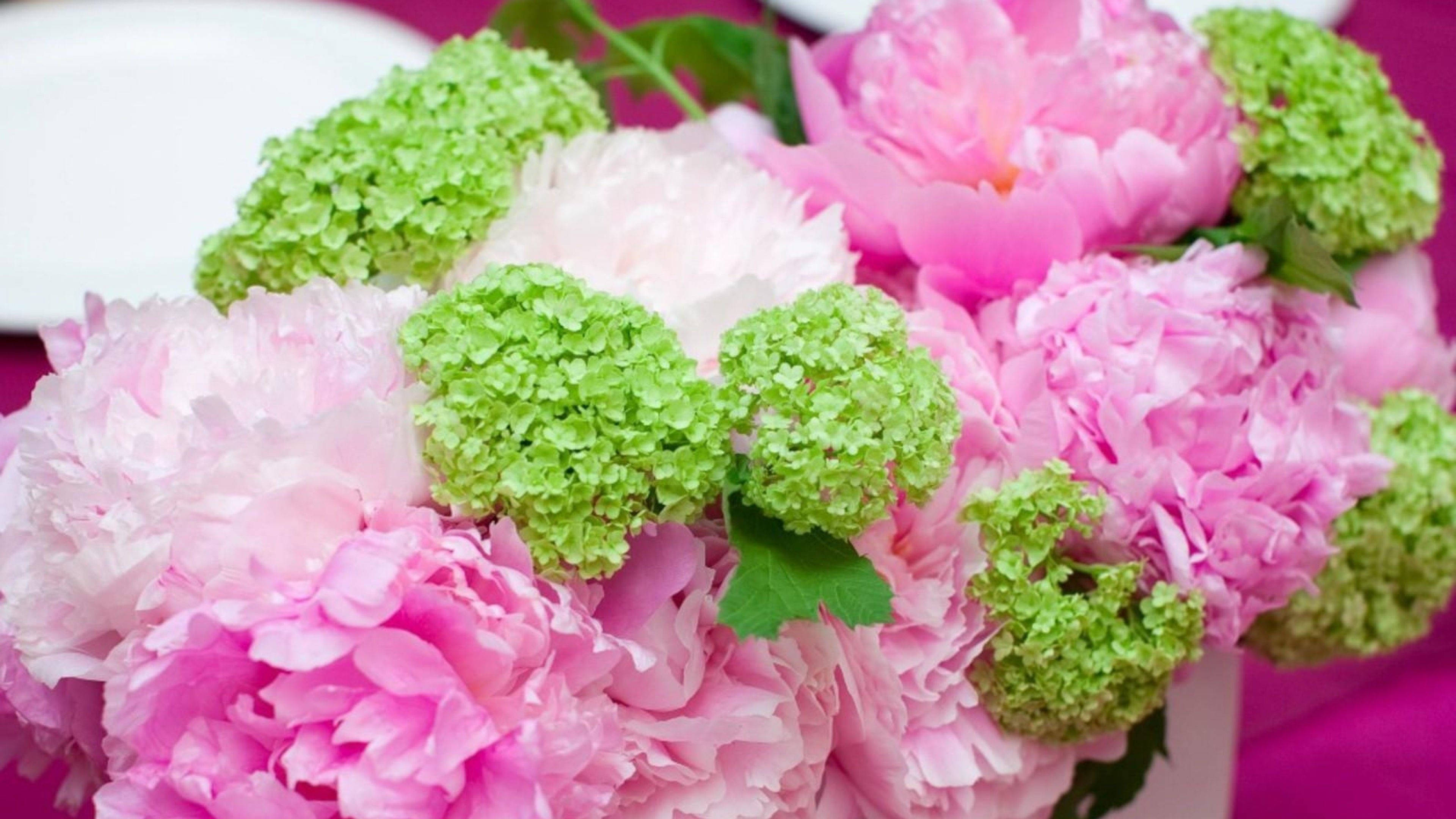 pink peonies, green hydrangeas, white vase, 4K Desktop Wallpaper