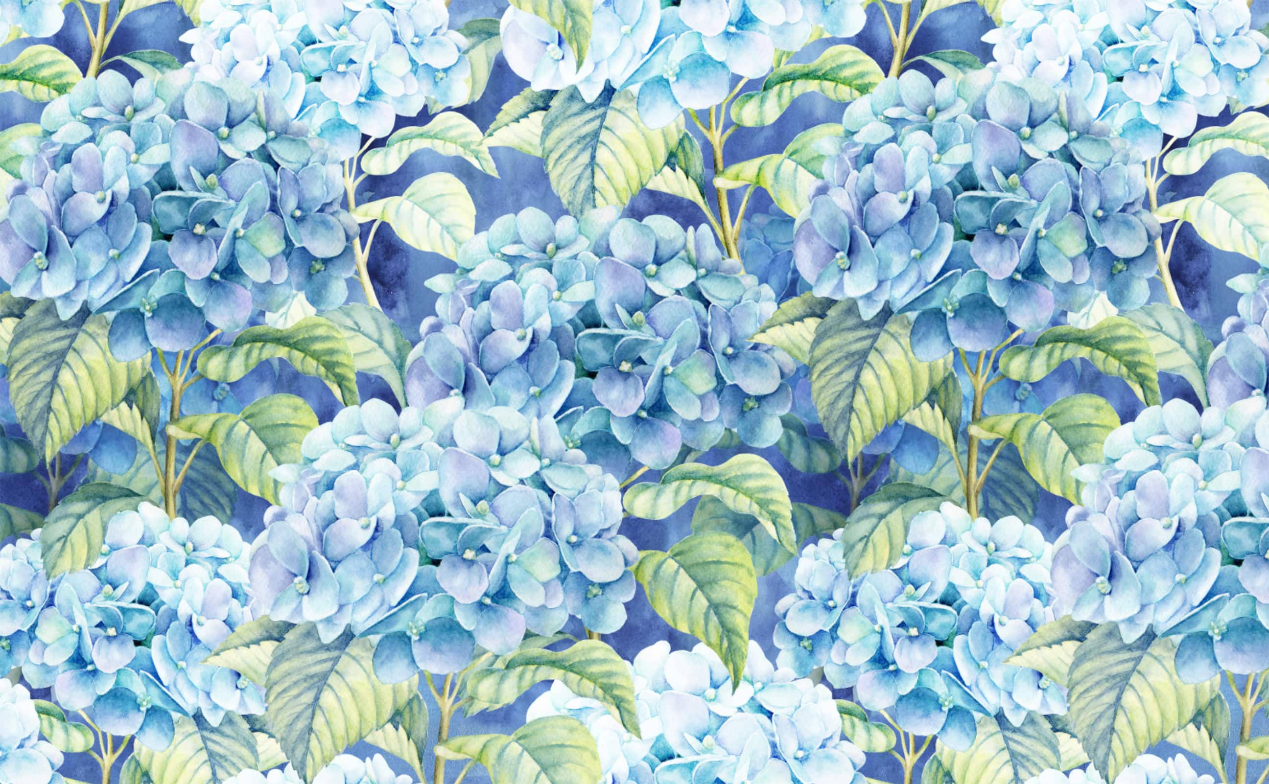 light blue hydrangea, watercolor pattern, blue hydrangea blooms, 2K Desktop Wallpaper