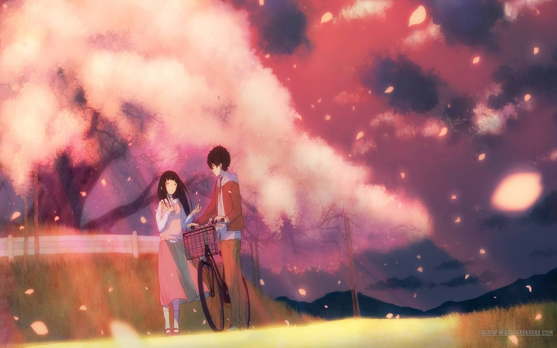Hyouka, cherry blossoms, bicycle, Full HD Desktop Wallpaper