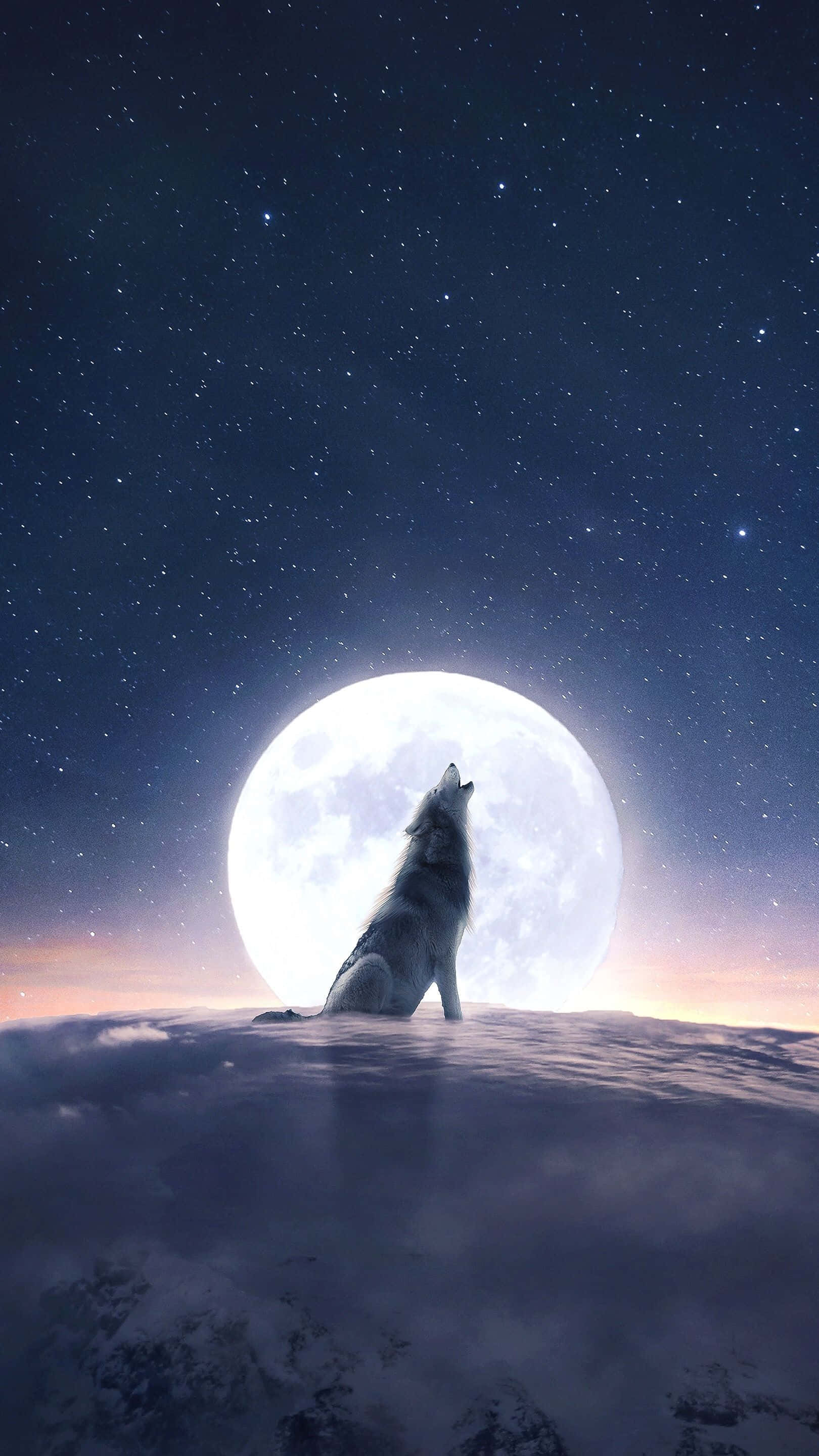 Hype Aesthetic, lone wolf, giant moon, 2K Phone Wallpaper