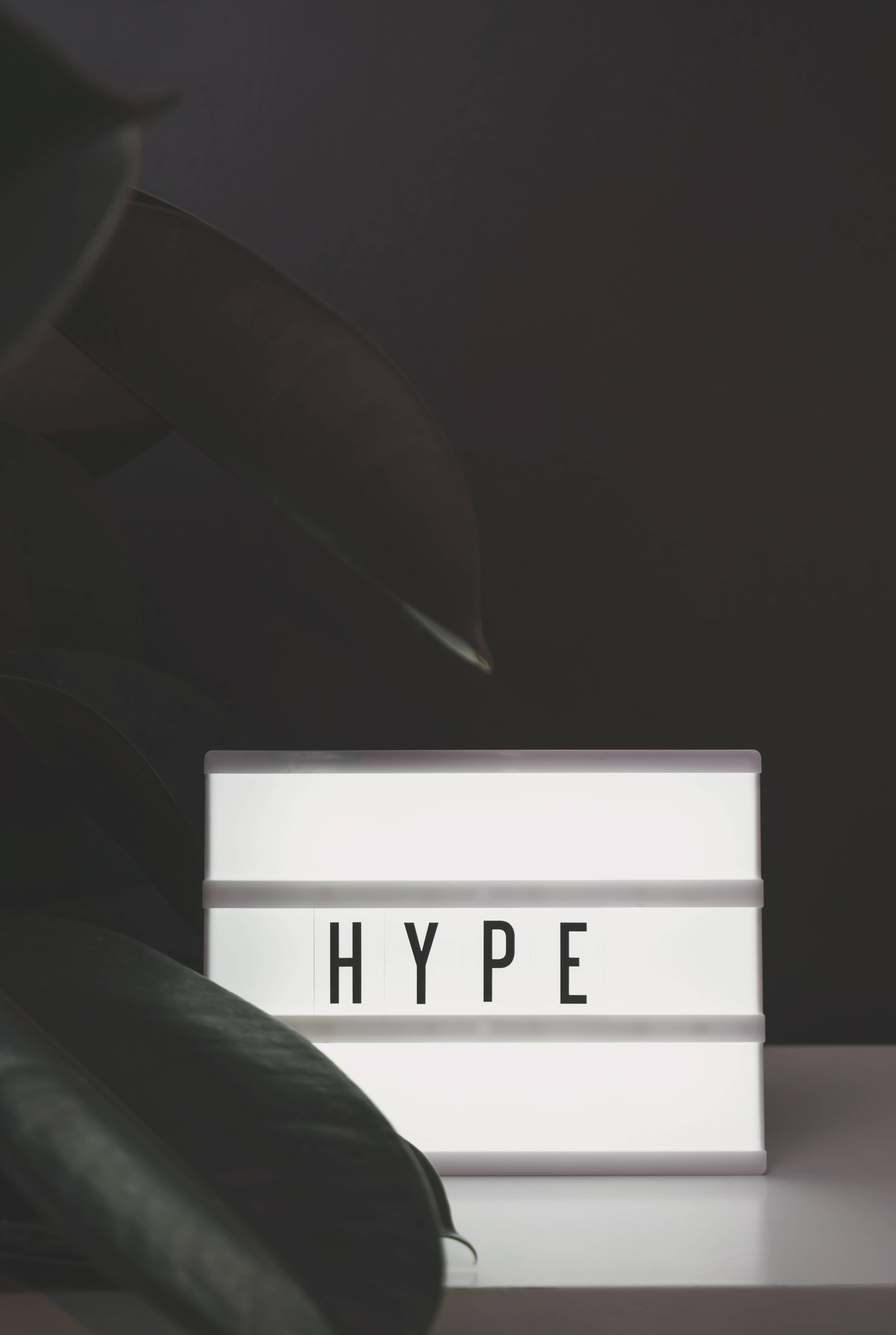 HYPE, glowing white lightbox, dark green leaves, 5K Phone Wallpaper