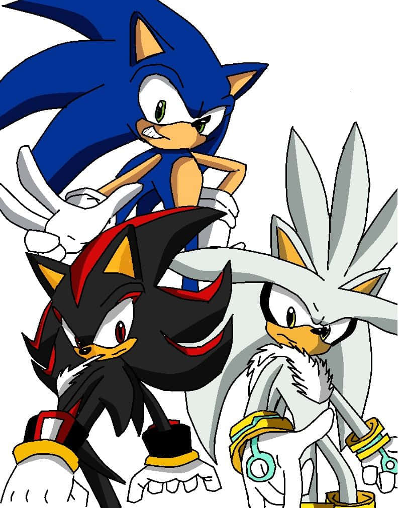 Sonic, Shadow, Silver, SD Phone Wallpaper