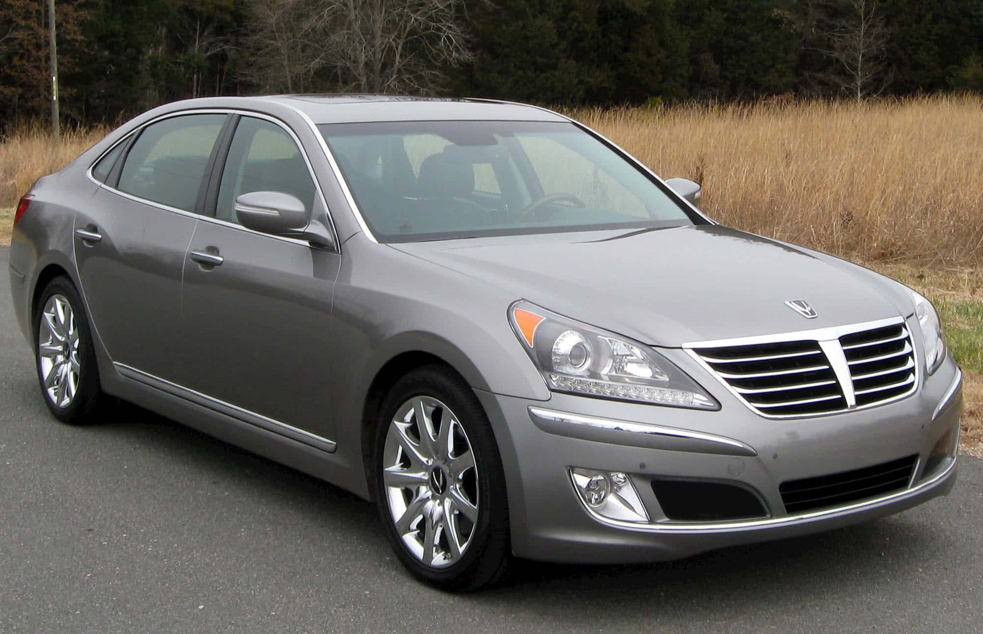 Hyundai Equus, 2001, silver, Full HD Desktop Wallpaper