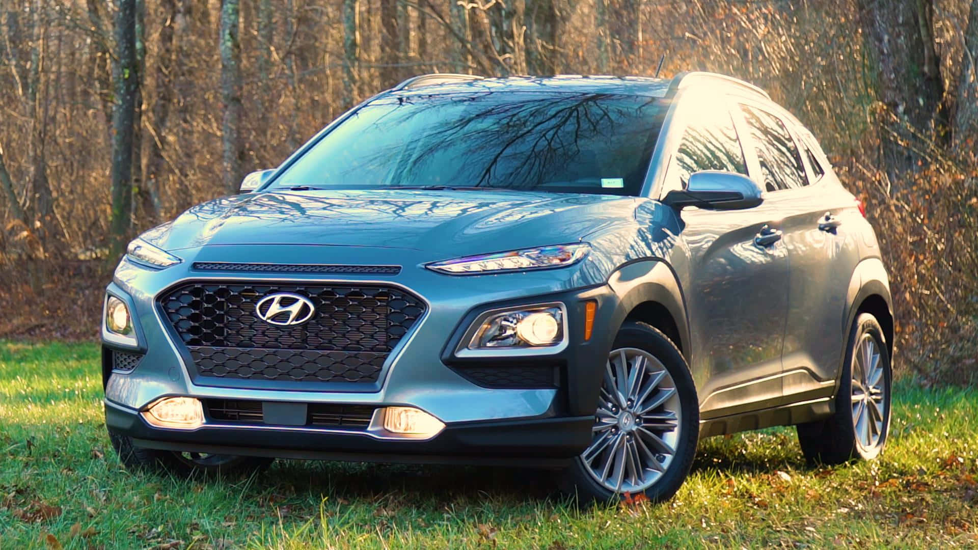 Hyundai Kona, silver, grass, Full HD Desktop Wallpaper